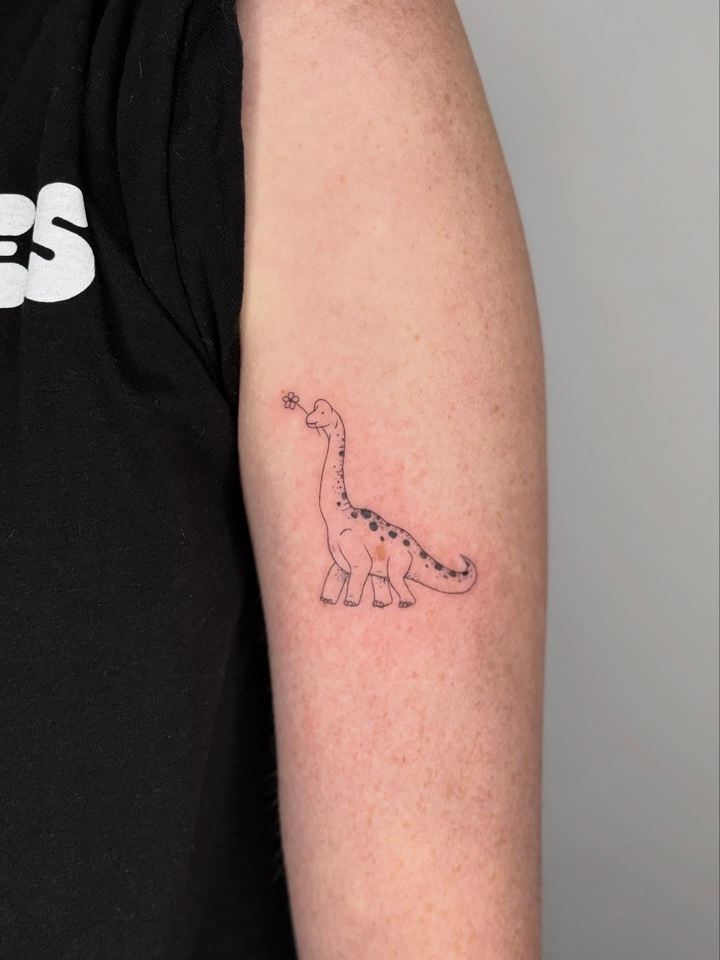 Today: My favourite Tattoo kind ๐ฆ๐ฉท
โซธ
Booking info: If you want to get inked in 2025, please send me an email now. I have just a few slots left in December ๐ซถ๐ป #nodms 
#dinotattoo #teamdino #hamburgtattoo