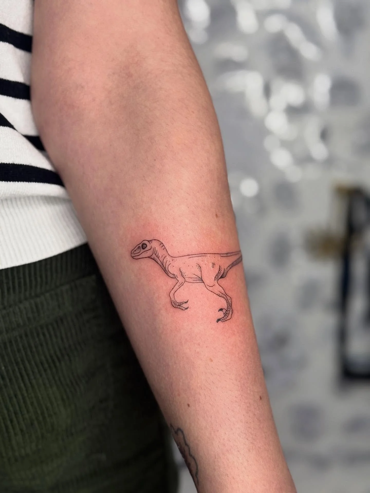 Did you know I met one of these last year? Swipe for the proof ⚡️

Thank you so much for letting me do this! Hollywood dinosaurs are also very close to my heart.