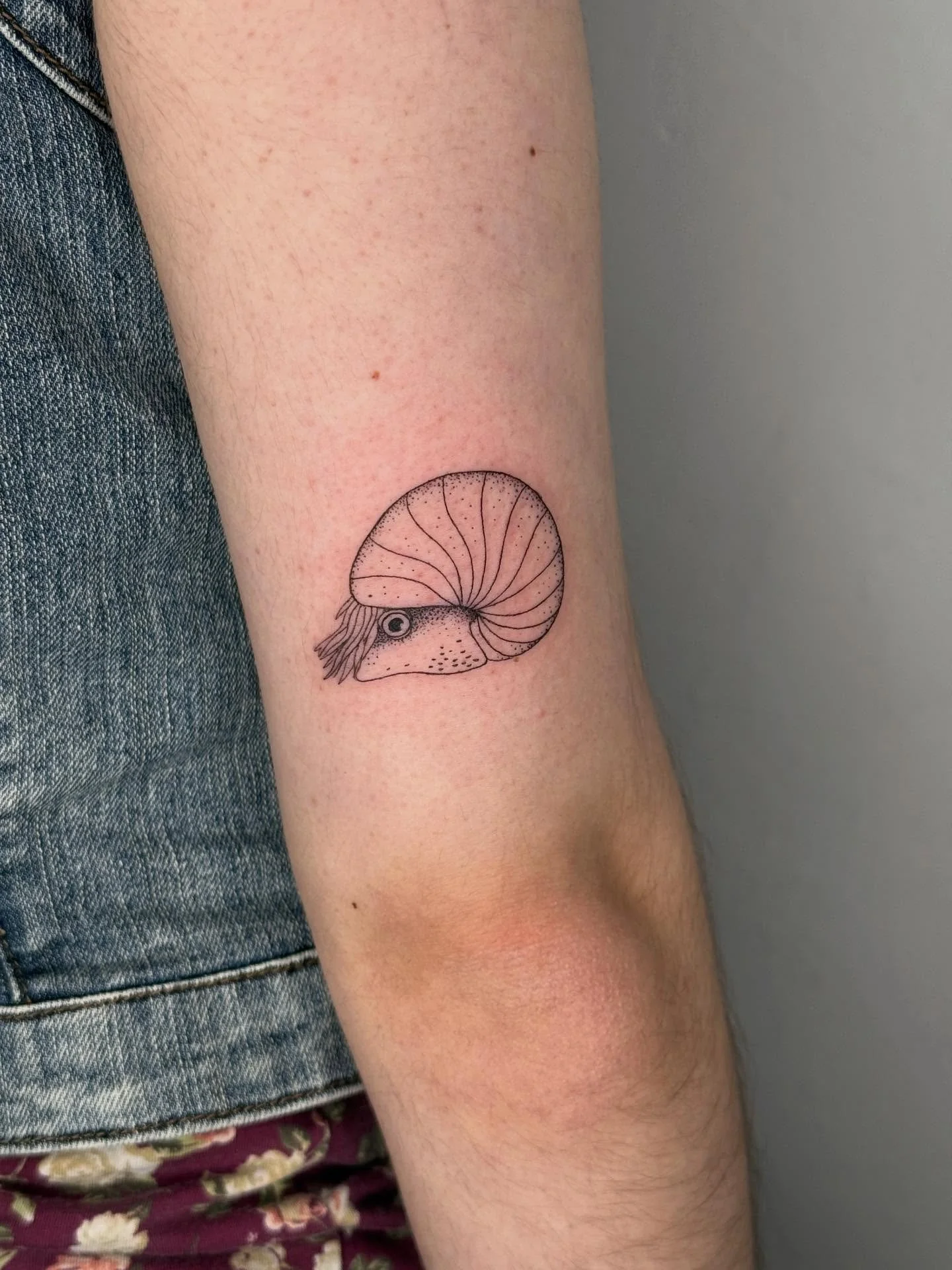 #cenoceras from my flash and some inspiration I found @nhmwien in Vienna.
First Tattoo ever for D 🩷 thank you so much for your trust!