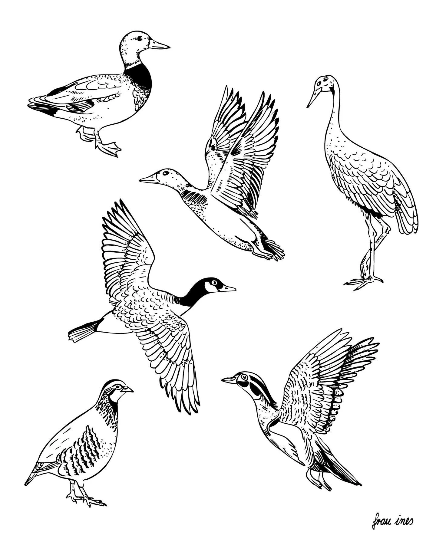 I can smell spring! 👀 
NEW FLASH - Let&rsquo;s ink some birds! 🦆🪶🪿

All available for your summer skin ☺️💌 hello@frau-ines.de

⫸ 
Booking info: If you want to get inked in the second quarter of 2026, please send me an email on Sunday 1.3. My boo