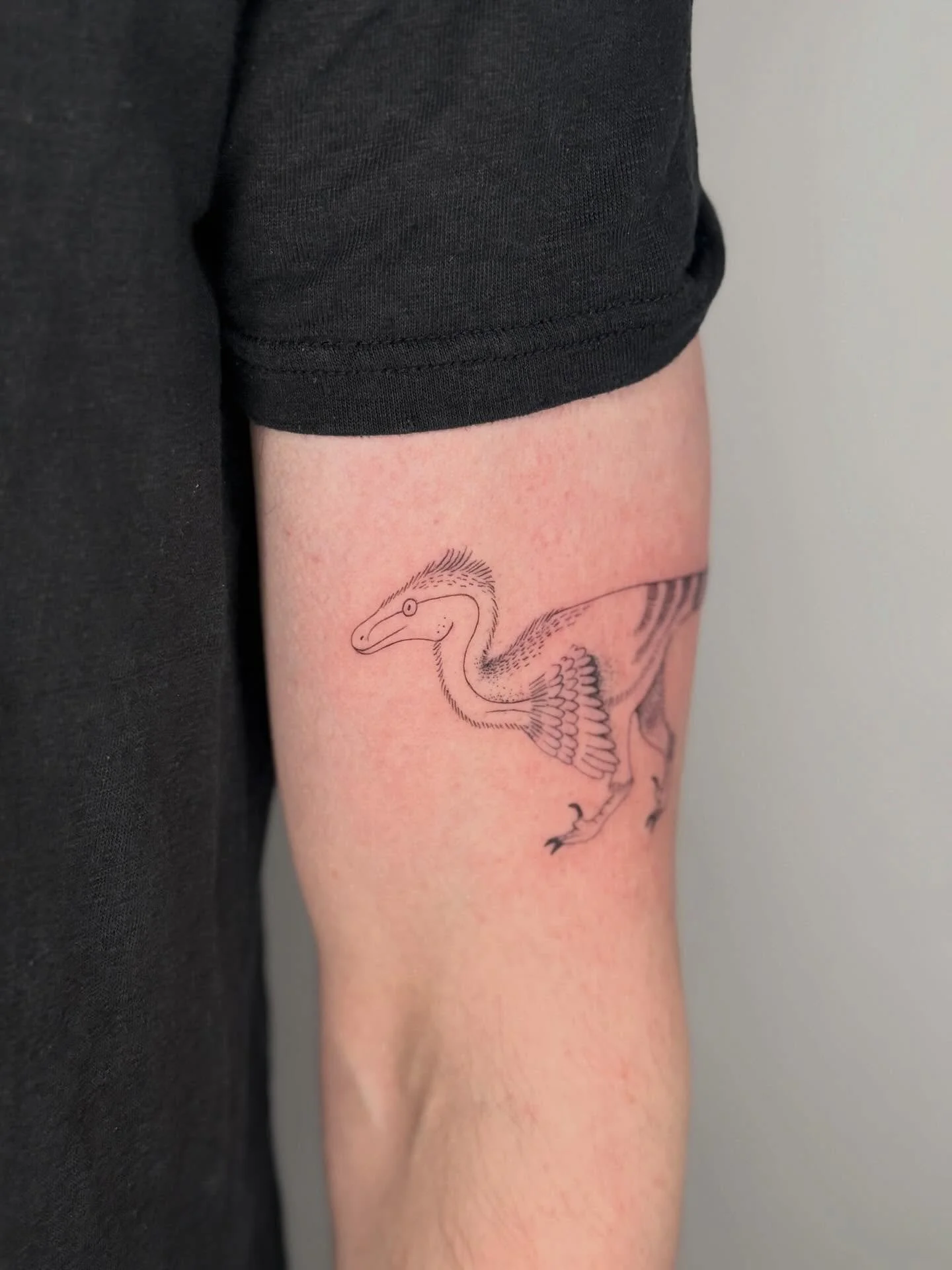 The magnificent #Velociraptor I inked yesterday, and an equally magnificent collection of dinosaurs I met over the years 🙂&zwj;↕️🦖 PS. Some, but not all of them are raptors and yes, one of them is in my kitchen 🔥

⫸ 
Books are open for May &amp; J