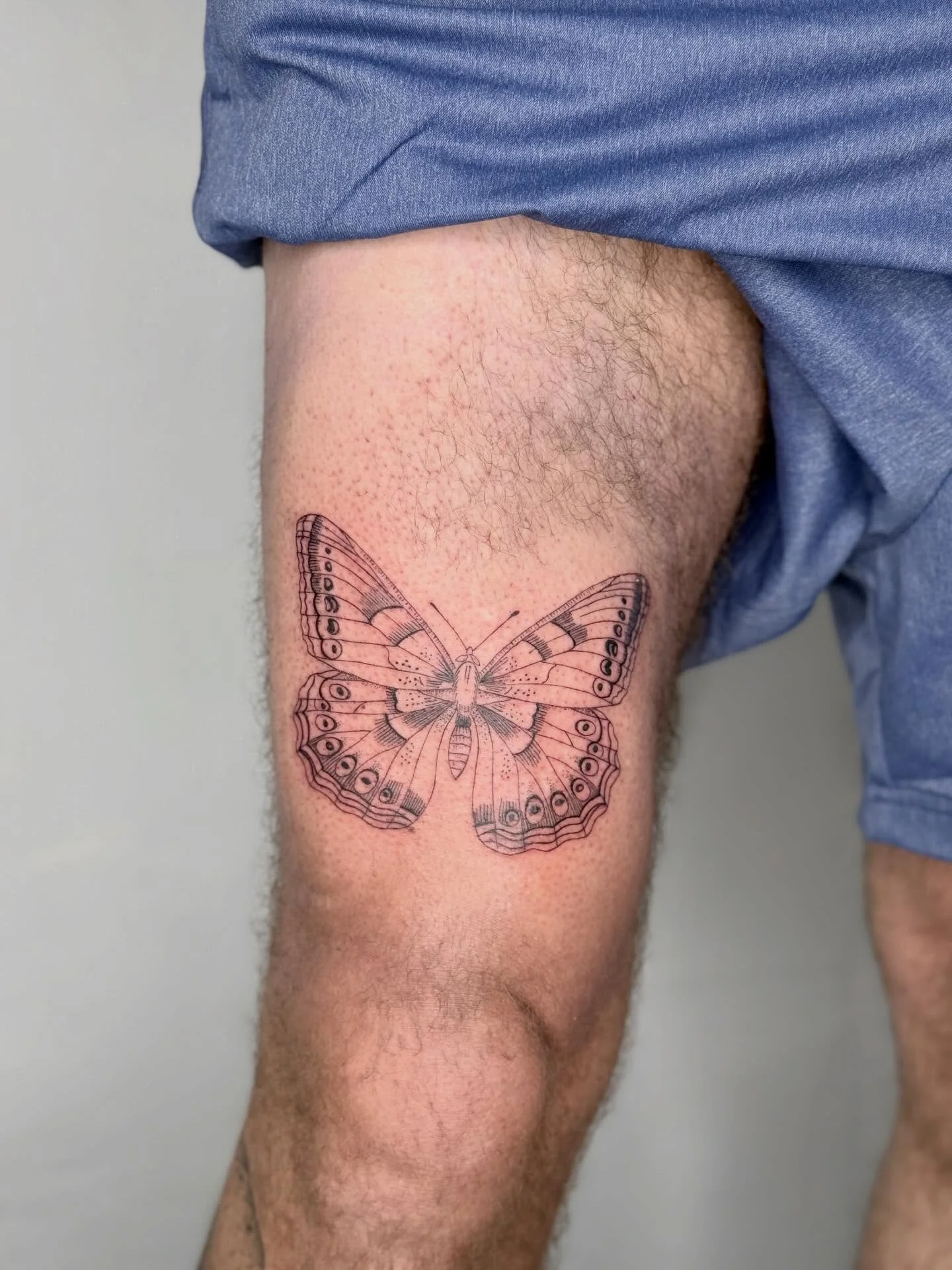 Today, the moth made friends with a gorgeous butterfly 🦋💕

⫸
Booking info: If you want to get inked, please send me an email 💌 hello@frau-ines.de 
I have a few slots left in june - swipe to see which dates are available! 🫰🏻 #nodms