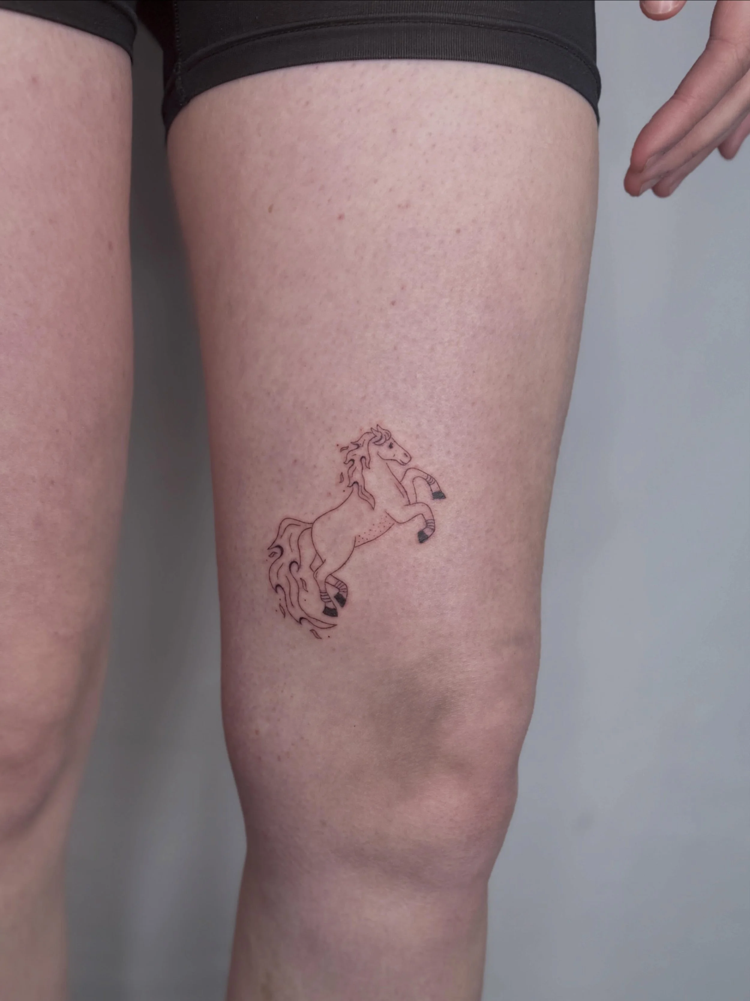Thank you for choosing this #Firehorse from my flash ❤️&zwj;🔥

⫸
Booking info: If you want to get inked, please send me an email 💌 hello@frau-ines.de
Swipe to see my last slots left in june 🐎