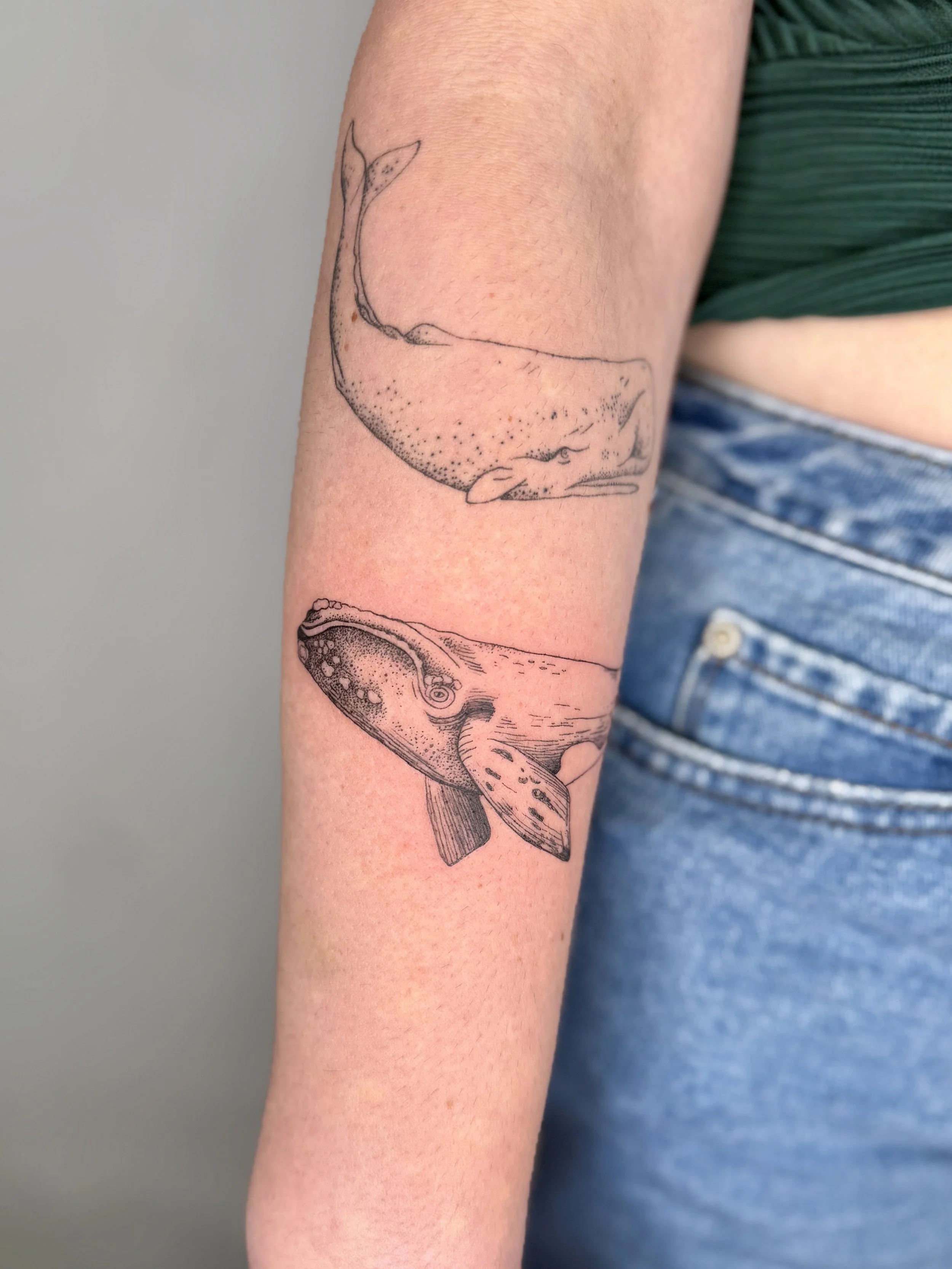 FrauInes_Tattoo_Wale.jpg