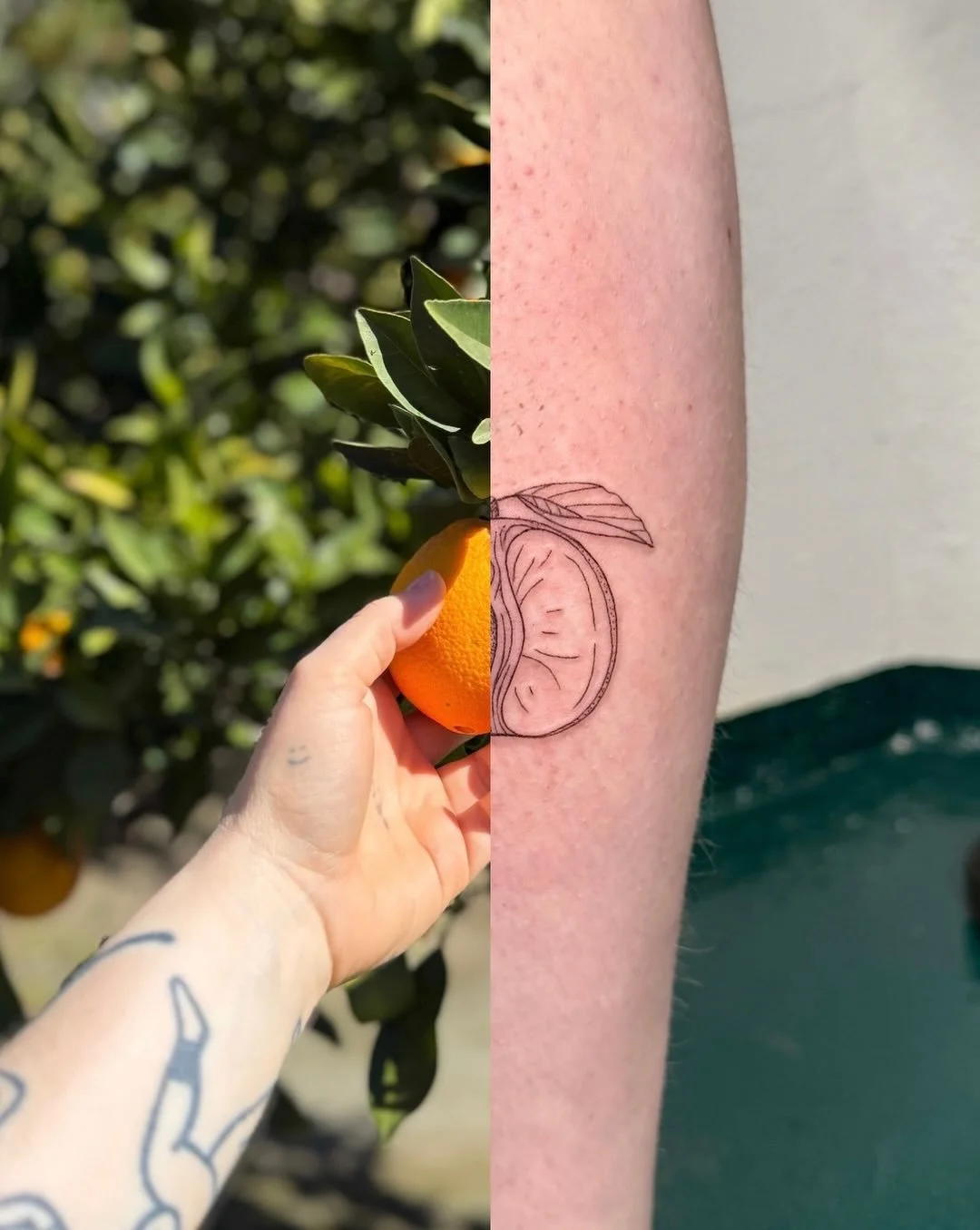 Swipe to see the whole juicy fruit 👀🍊

⫸ 
Books are open for Hamburg and&hellip;
LEIPZIG | 14.-15.07.
K&Ouml;LN | 17. - 19.07.
ASCHAFFENBURG | 22. - 24.07. &amp; 28. - 29.07.

⫸ 
Booking info: If you&rsquo;d like to get inked, just send me an email