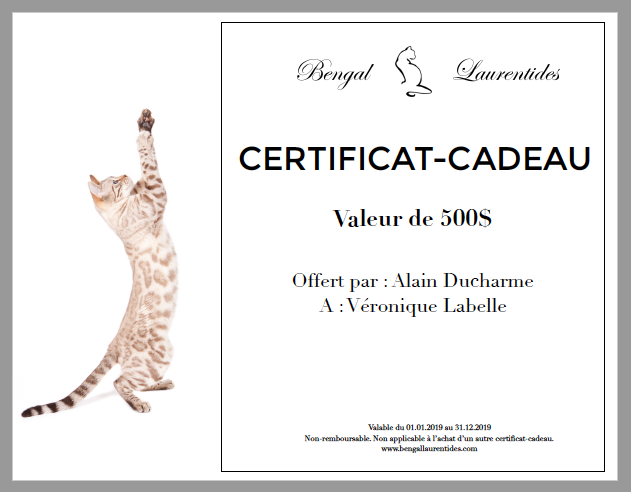 certificat-cadeau-bengal-laurentides-large.png