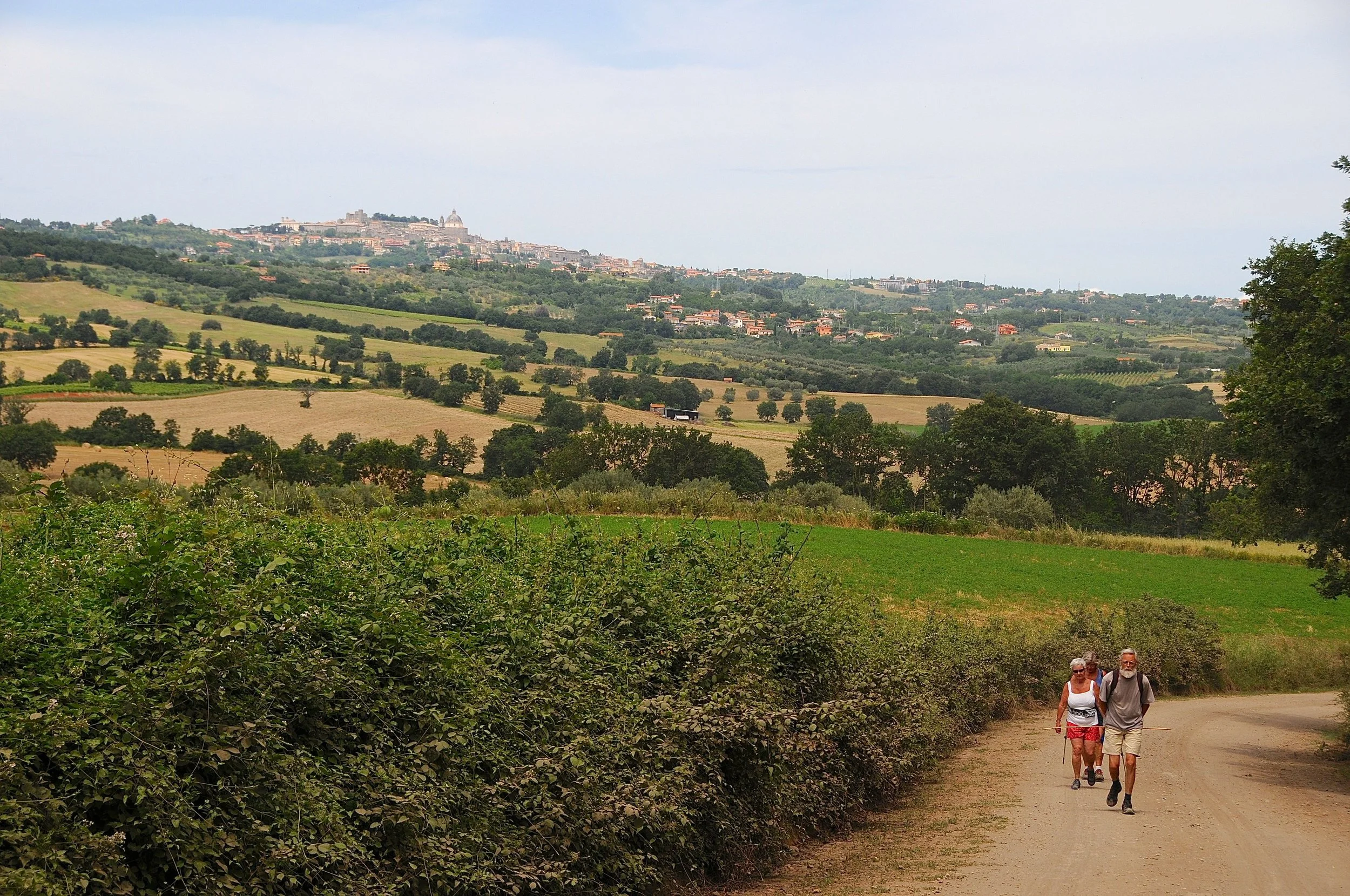 Montefiascone - Viterbo Foto Kjell Helle-Olsen (137).jpg