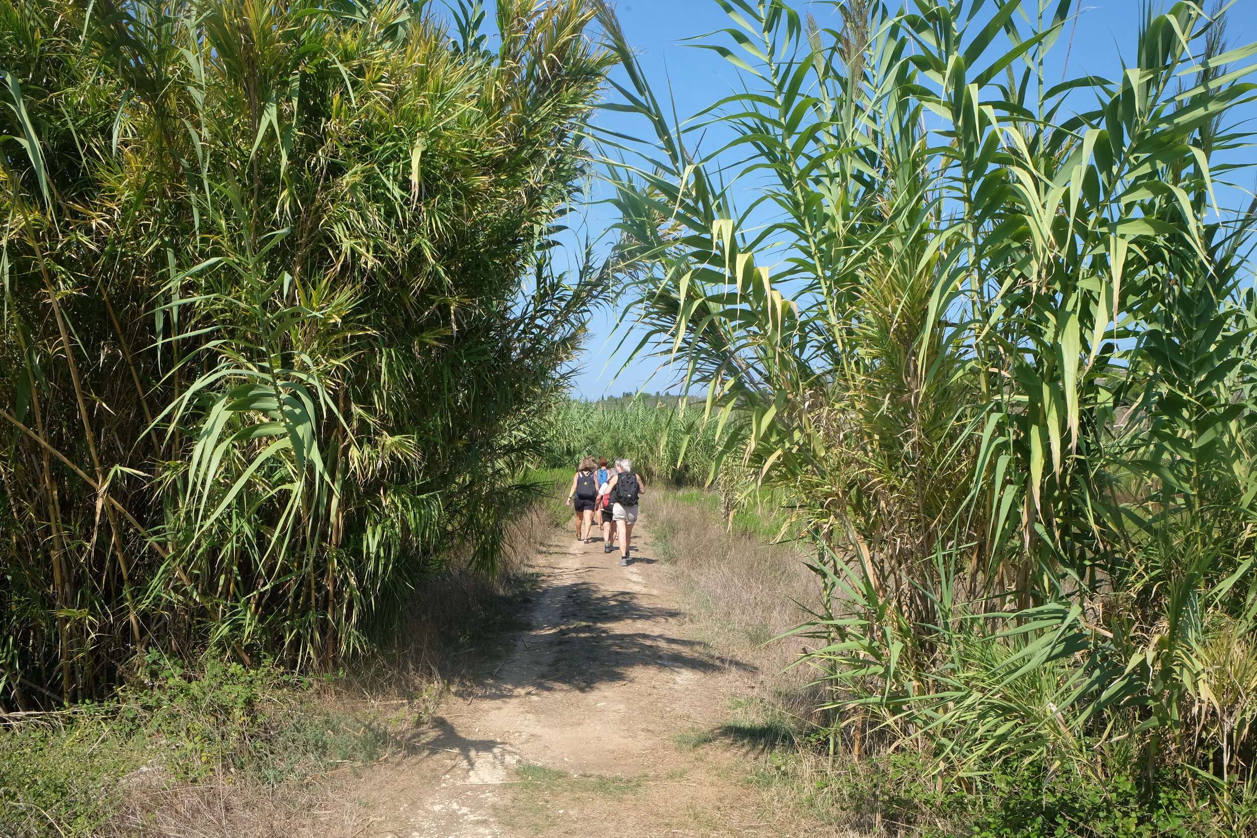 trekking tour - Salento bici tour13.JPG