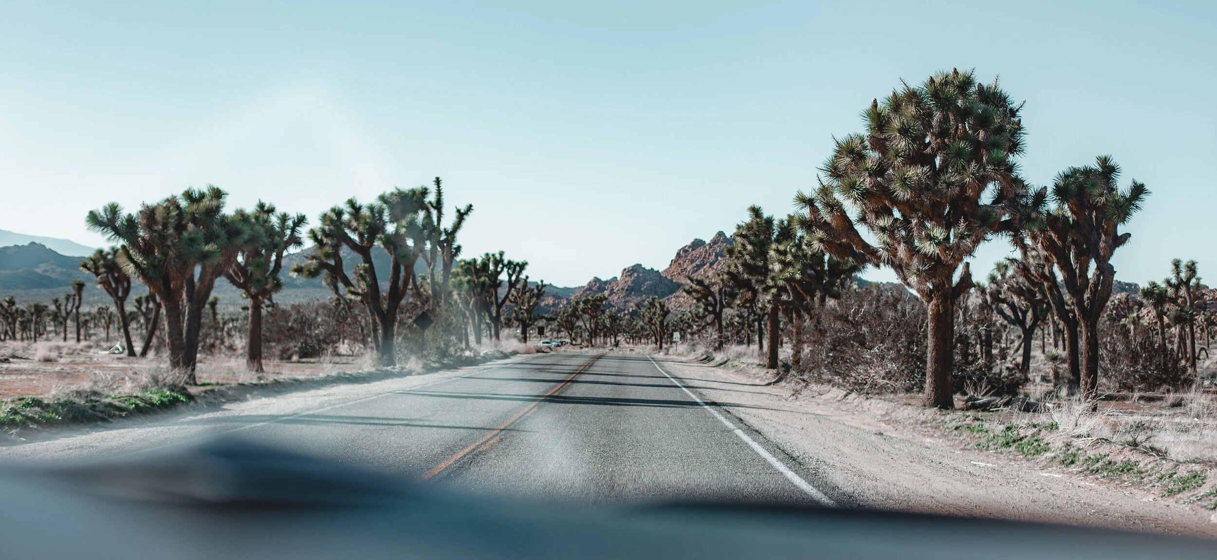 Choose Your Own Adventure: Postcards from the Road + Care Package