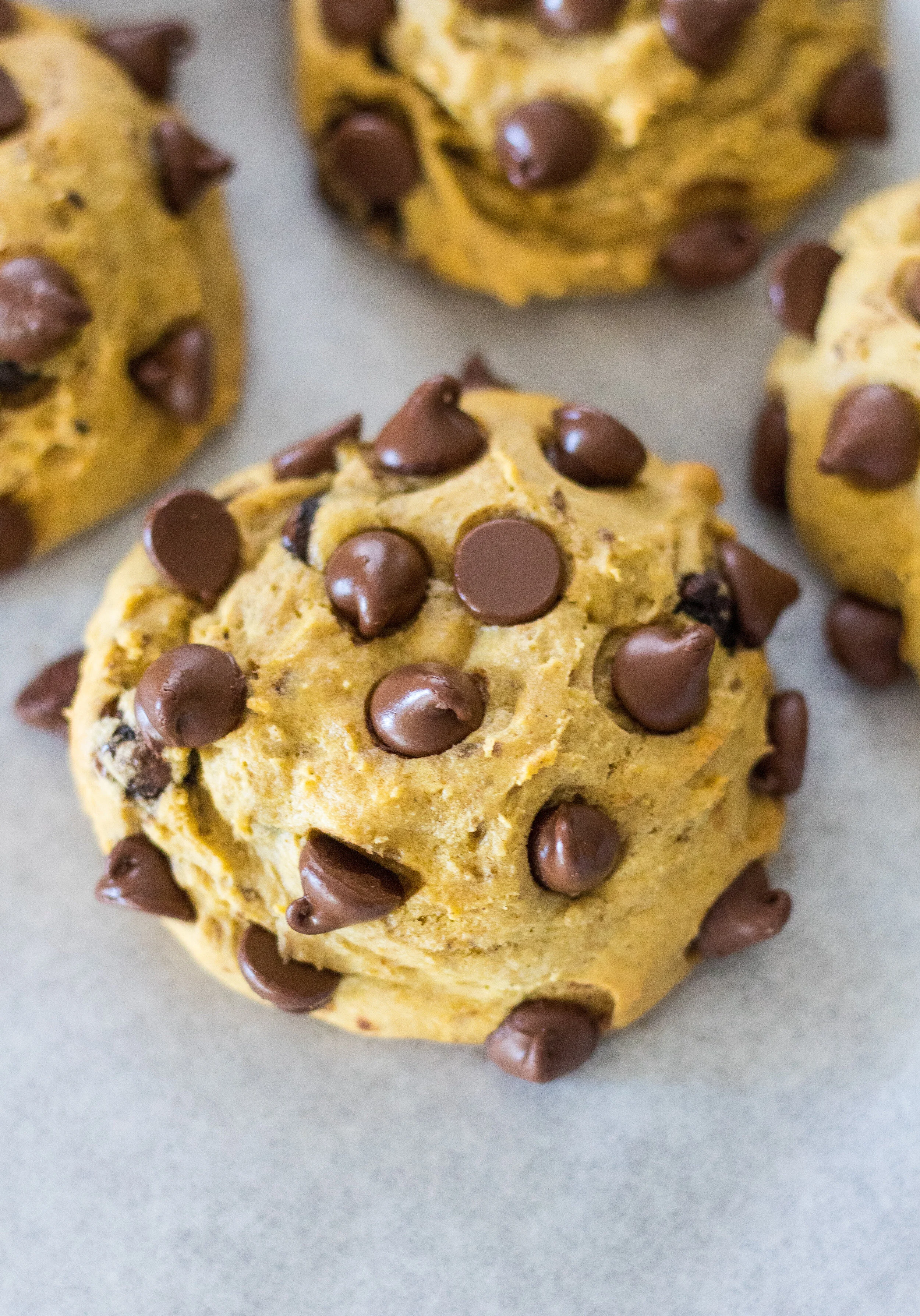 Fall into Fall with our NEWEST Gourmet Cookie!