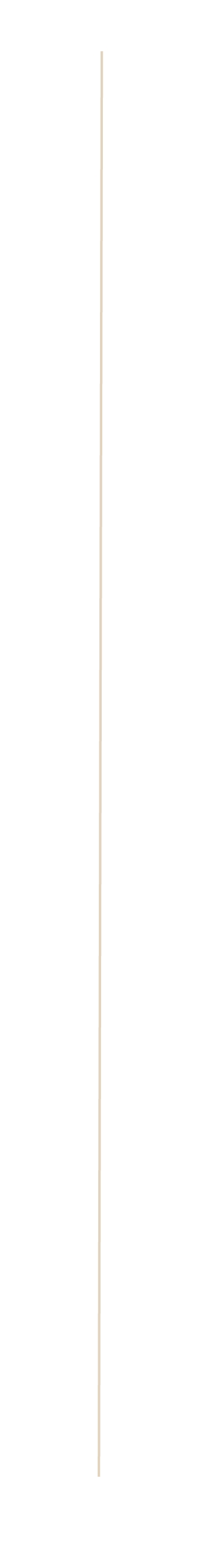 SCOUT Line-29.png