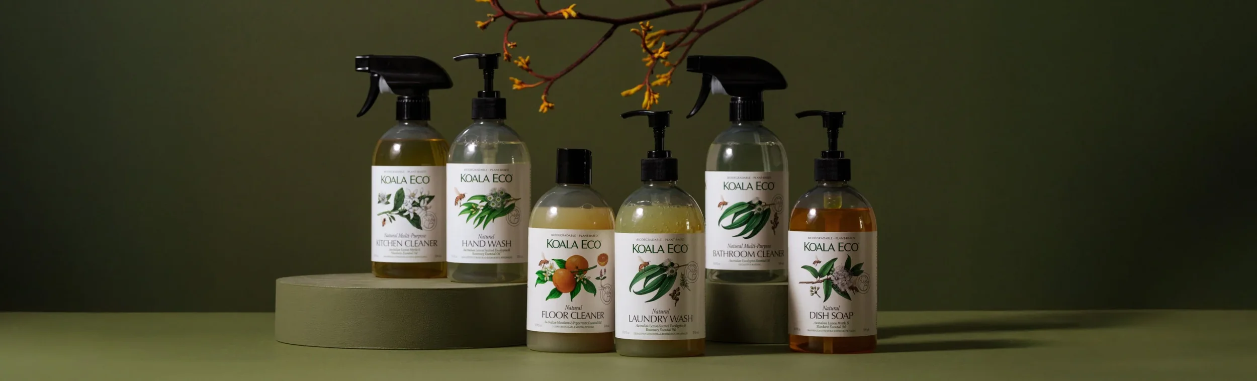koala-eco-nature-studies-gift-set