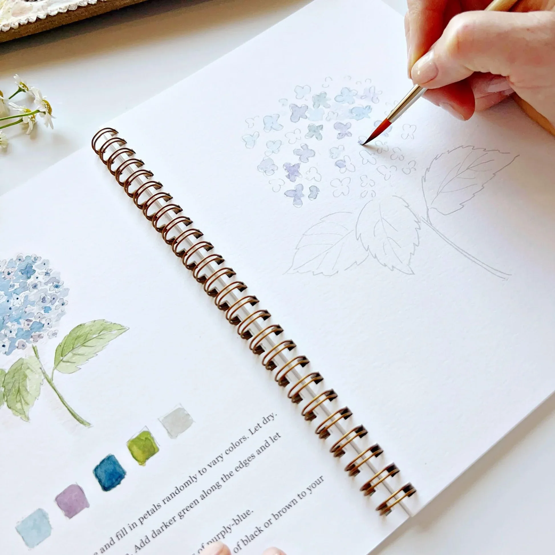 wwflowerhydrangeaside_11b0fc49-ab84-4ac3-86ae-5d7cfb51ab94.jpg.webp