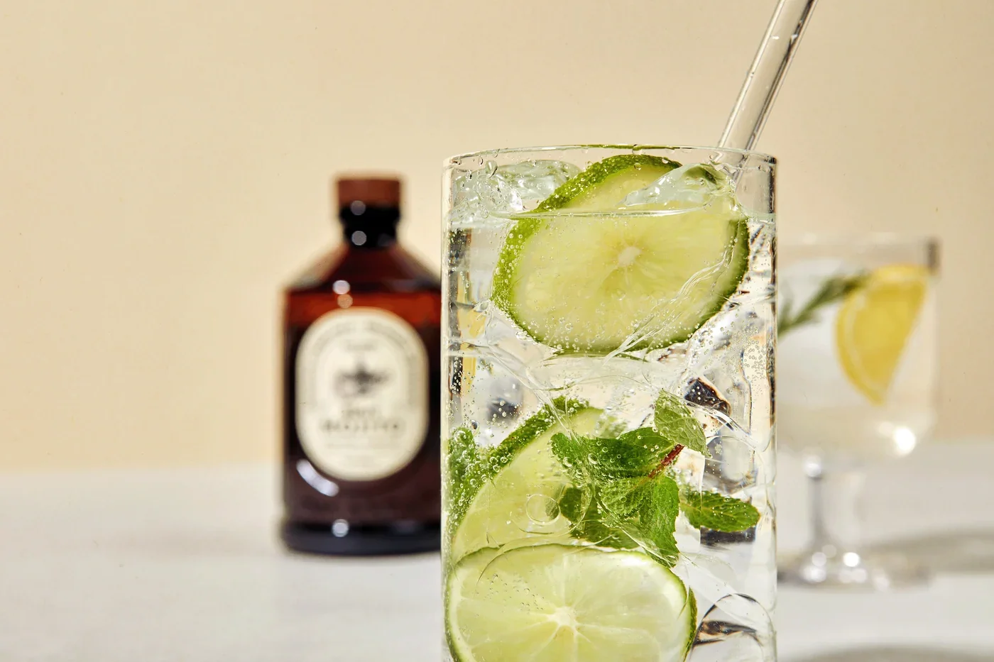 mojito-5.png.webp