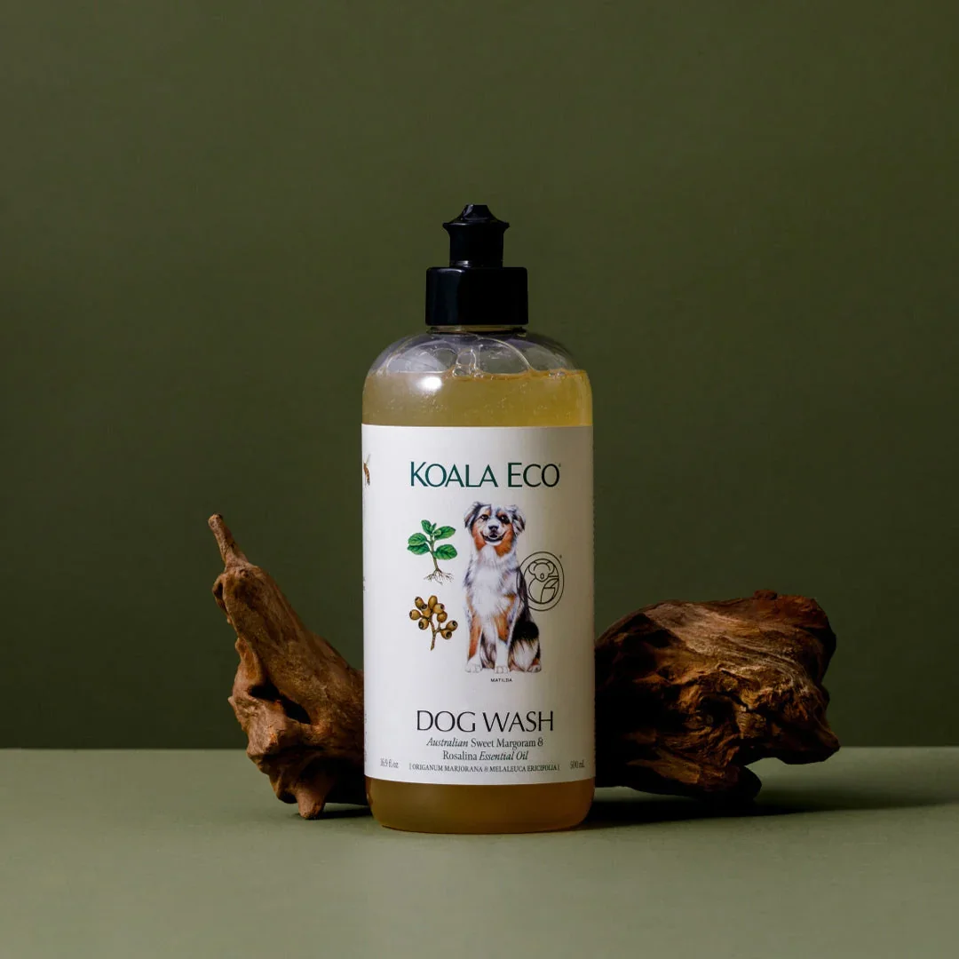DogWash-16.9oz-Green-Resized-NewCap-V2_c107b9f9-d82e-424d-ac2b-25acb975dc6e.jpg.webp