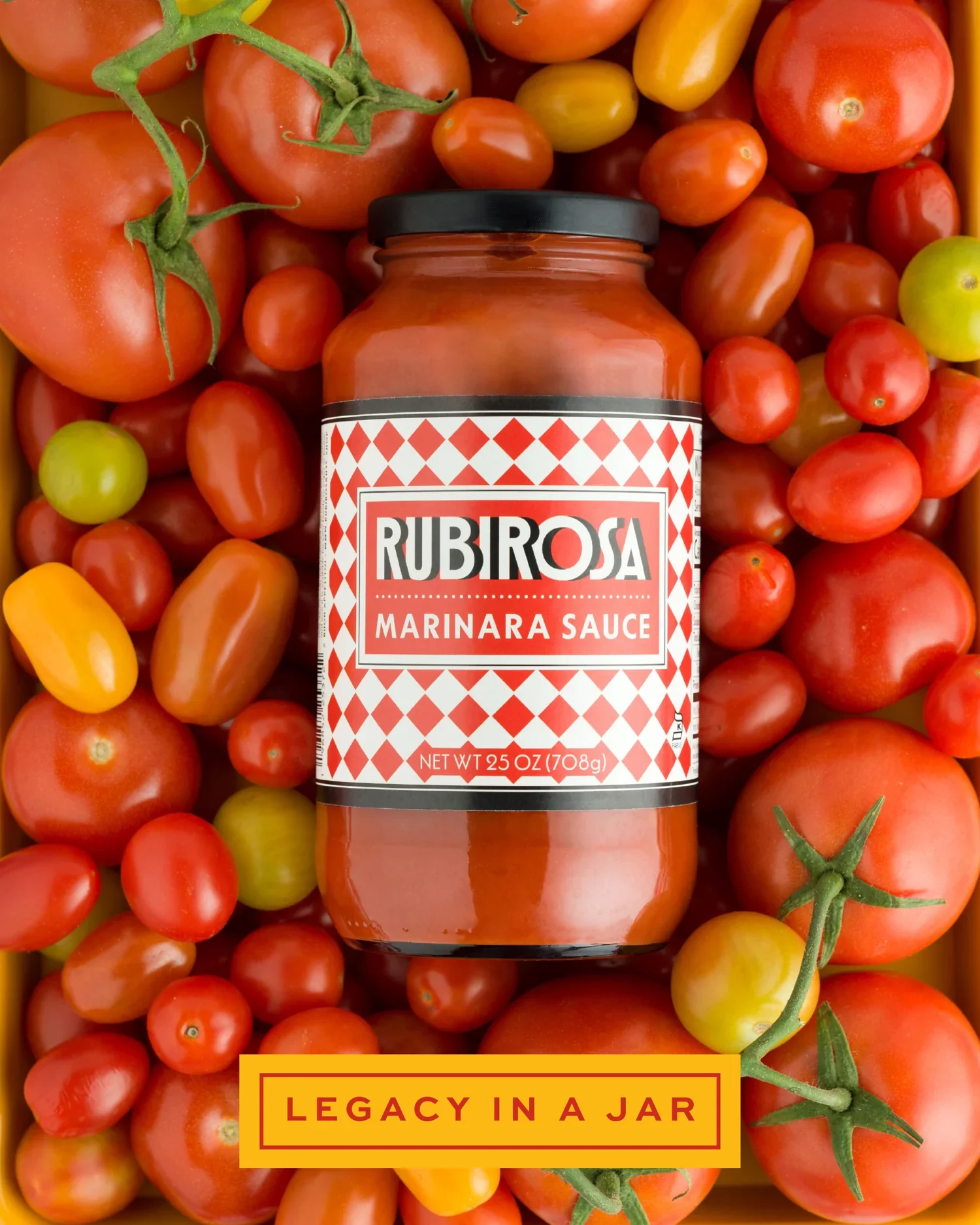 4_a401b488-581c-4525-a973-d7b17fe677de_1500x.png.webp