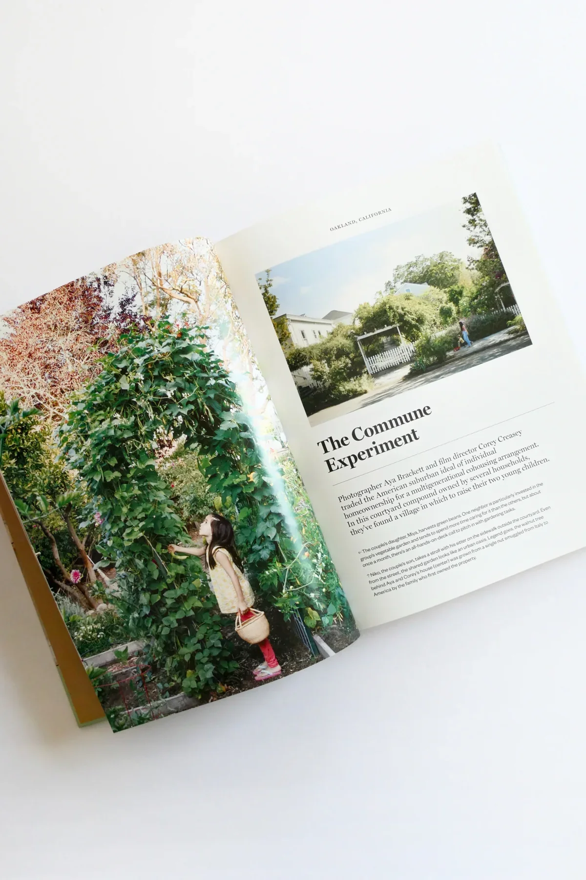 Remodelista-TheLow-ImpactHome3.jpg.webp