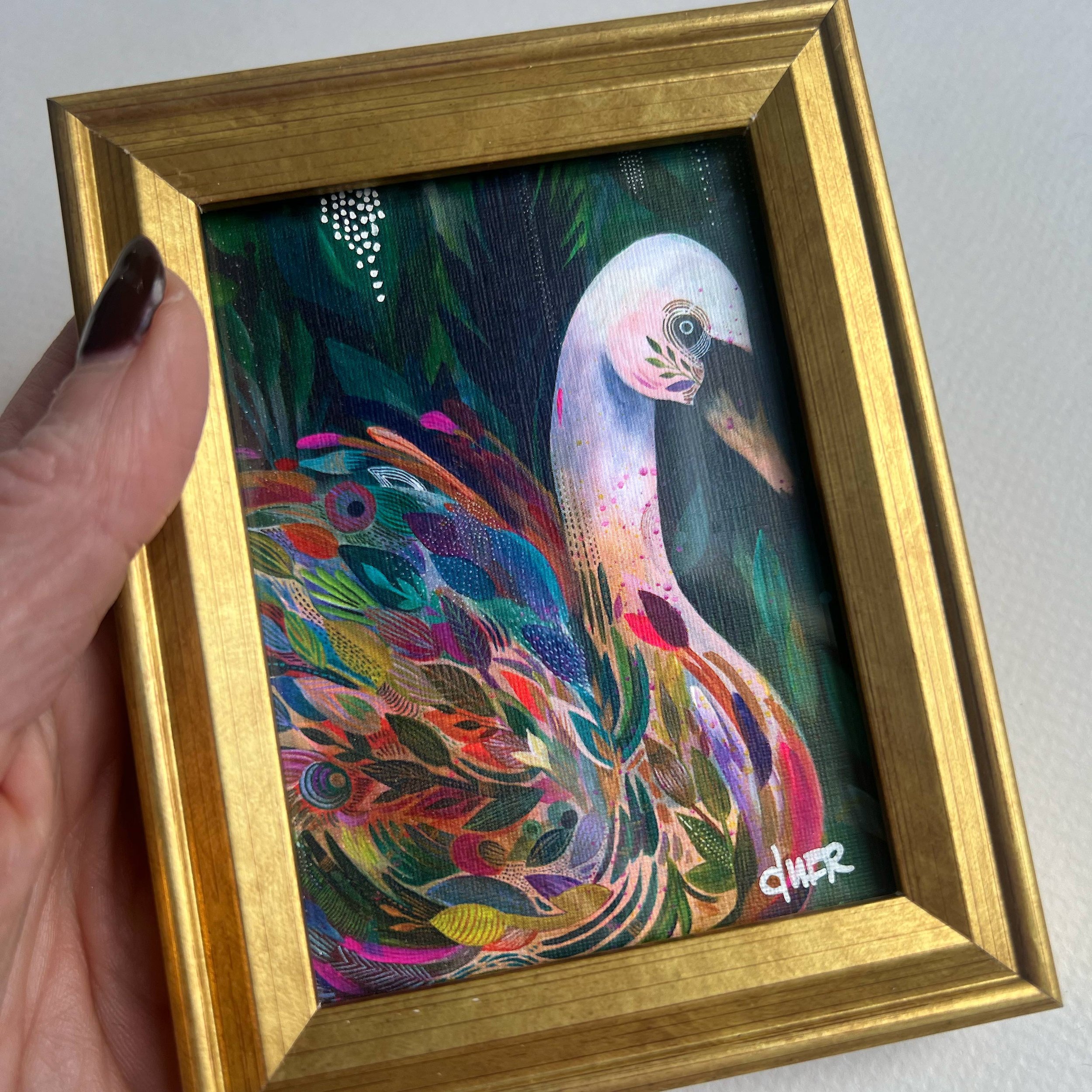 swan-in-hand.jpg