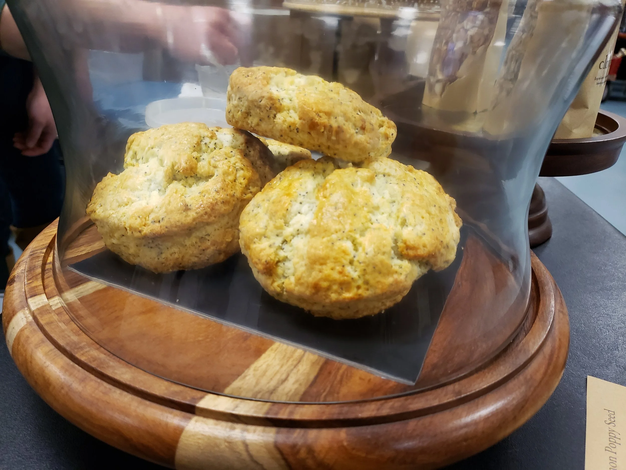 Cheddar Biscuit