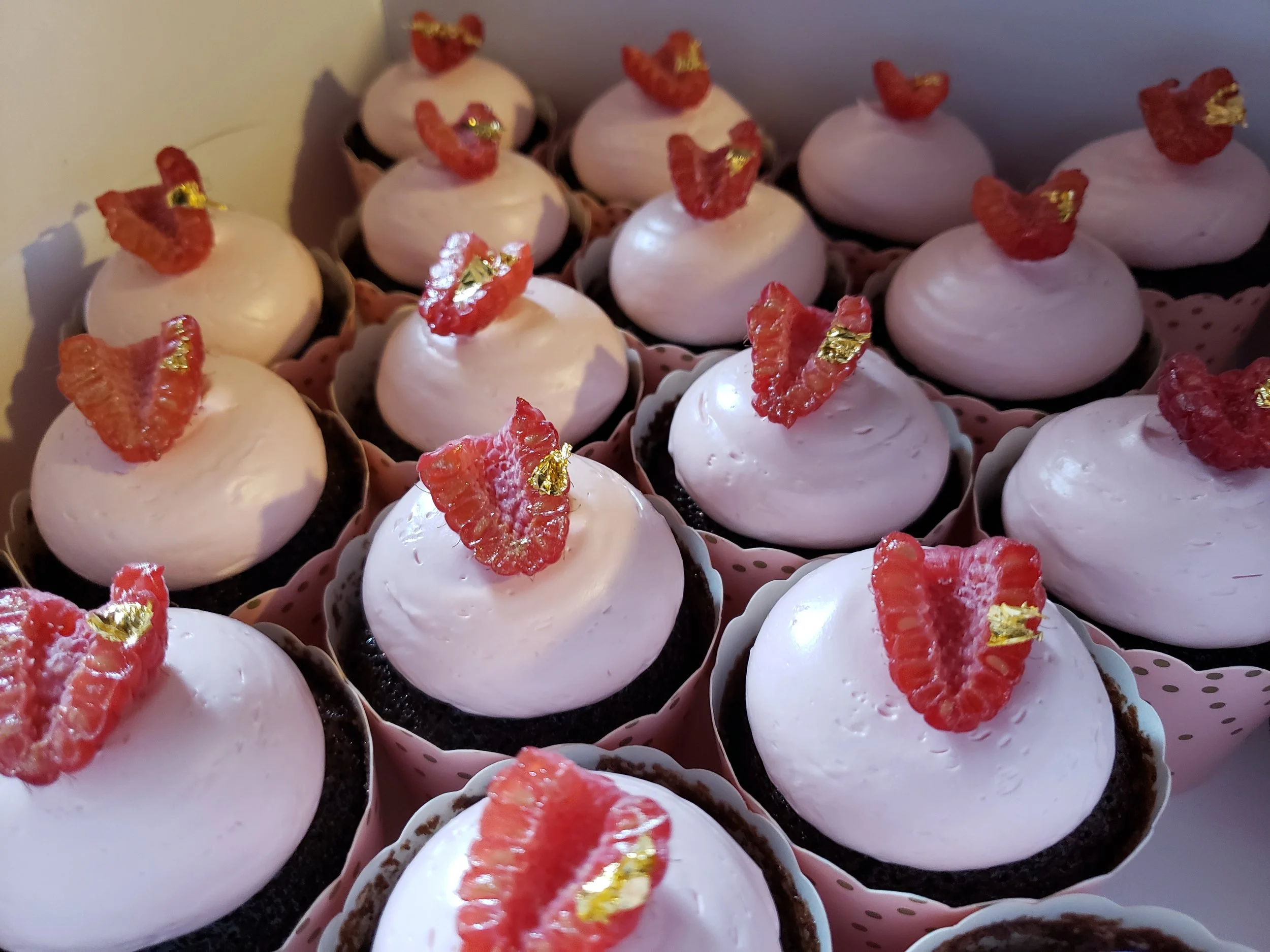 Chocolate Raspberry Cupcake Mini