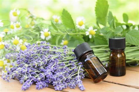intro to essential oils staci labuda.jpg