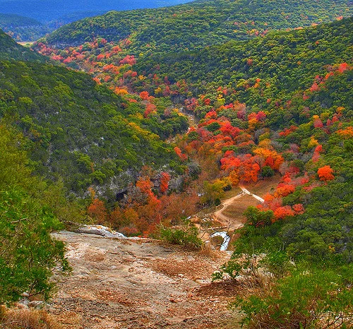Lost Maples Scenic Overlook.jpg