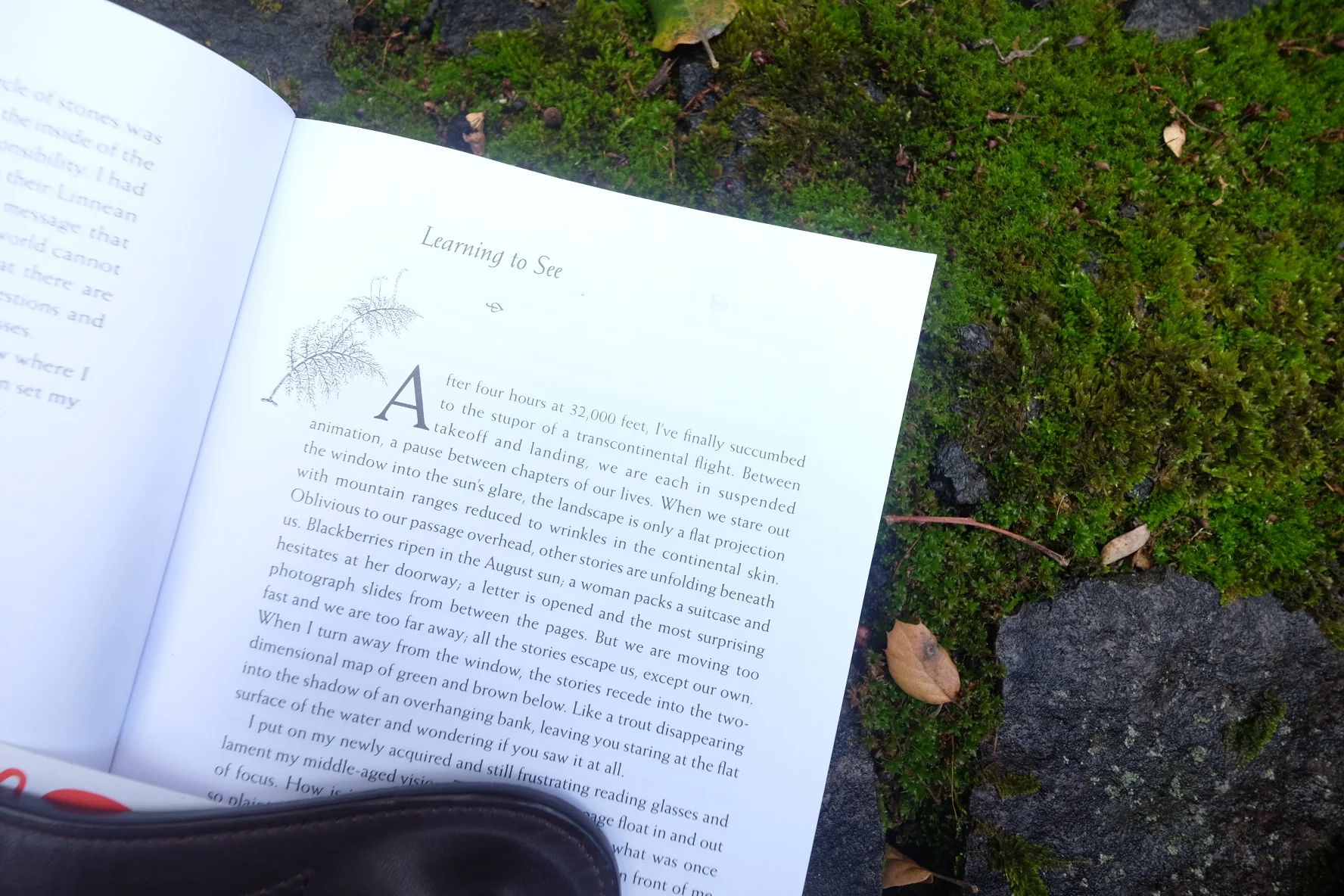 Gathering Moss