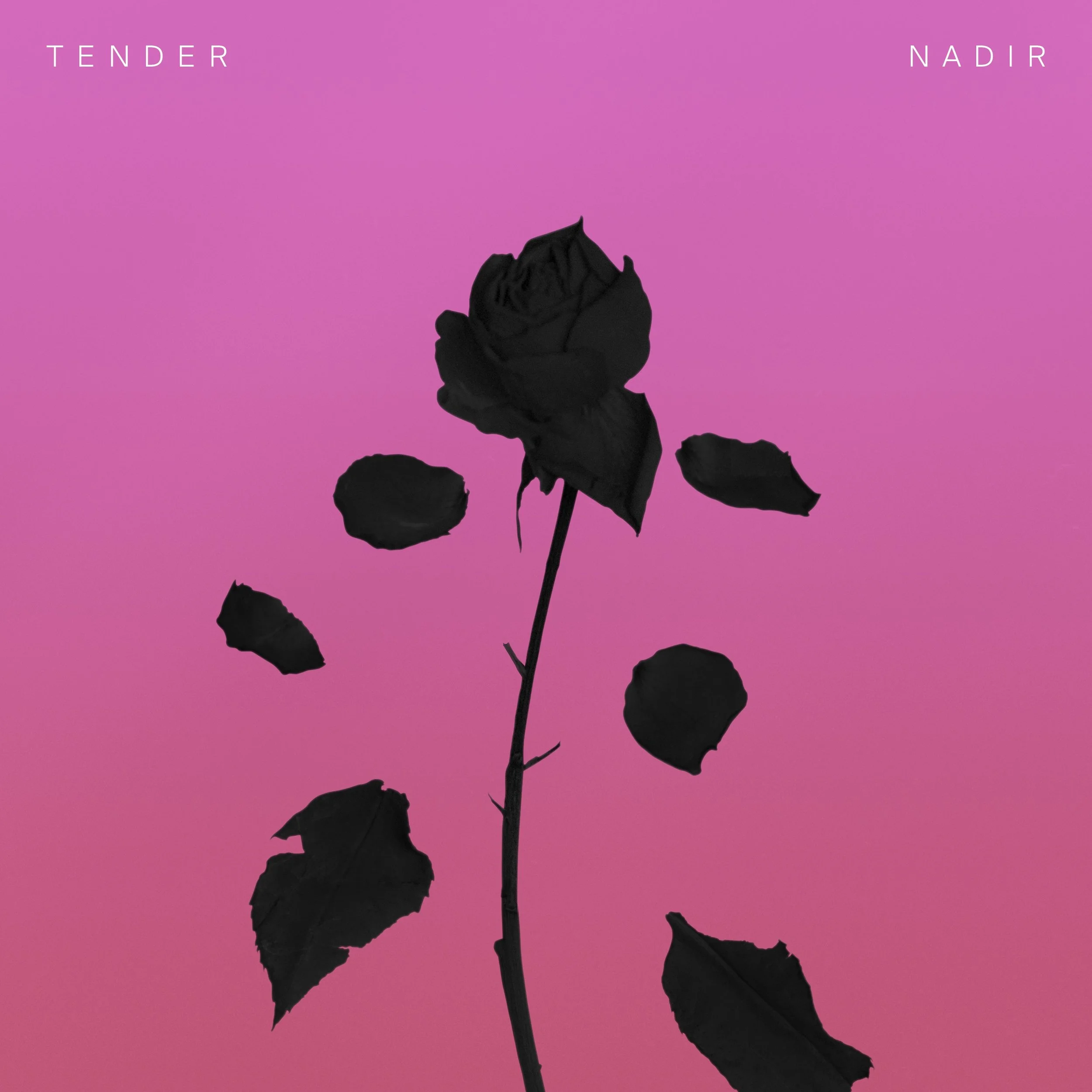 TENDER_Nadir_3000x3000_300dpi LZWcomp.jpg