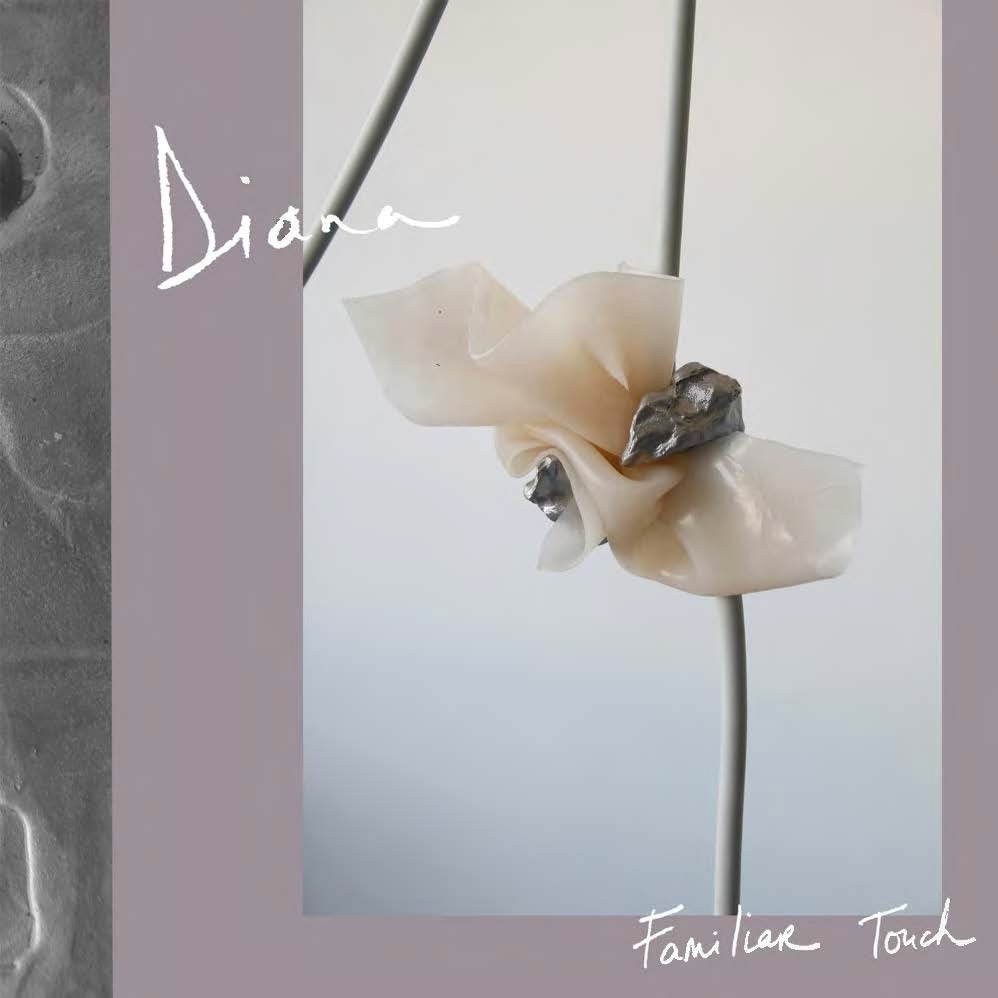 FINAL_DIANA_ALBUM_SM_(2)_copy.jpg