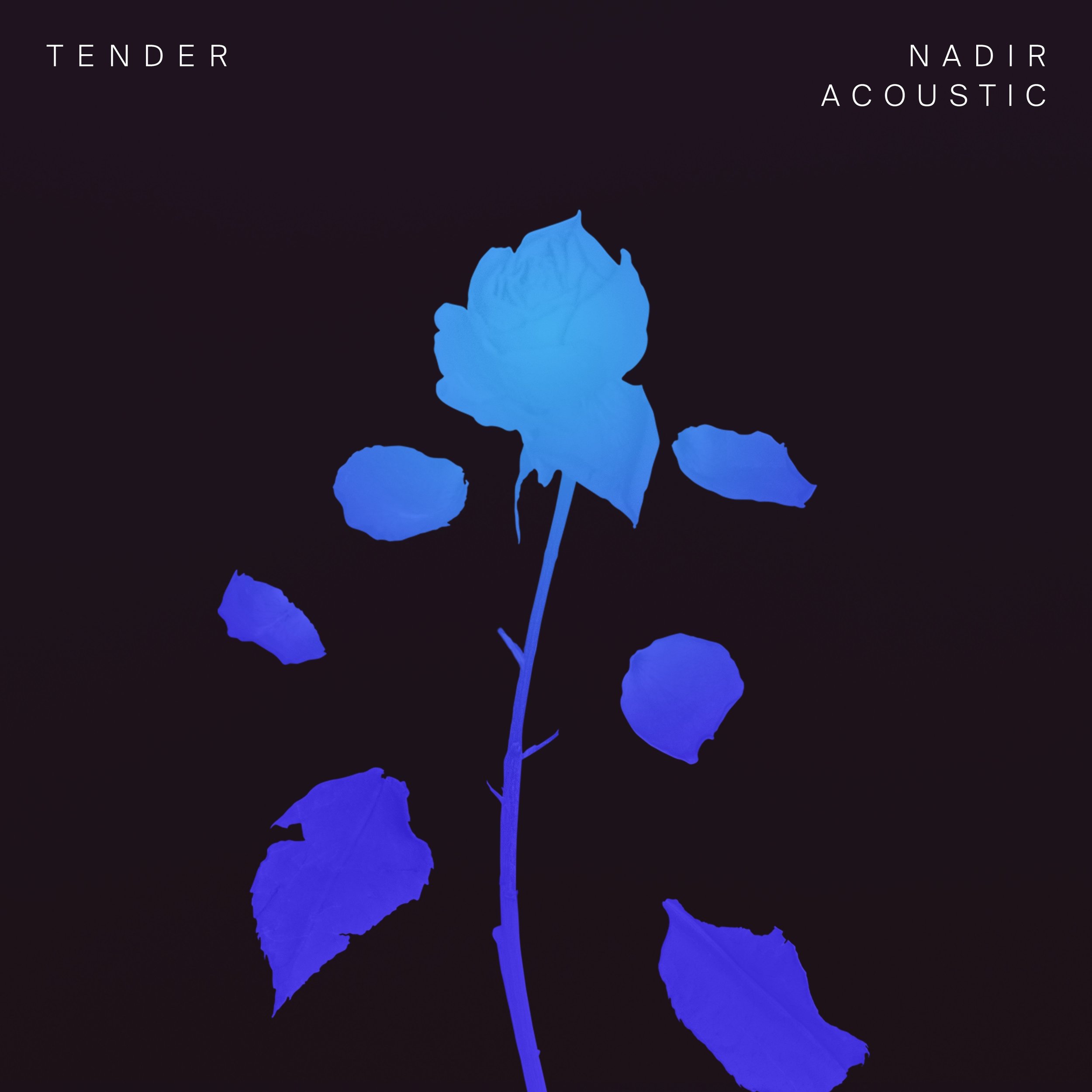 TENDER_Nadir-Acoustic_3000x3000_300dpi.jpg
