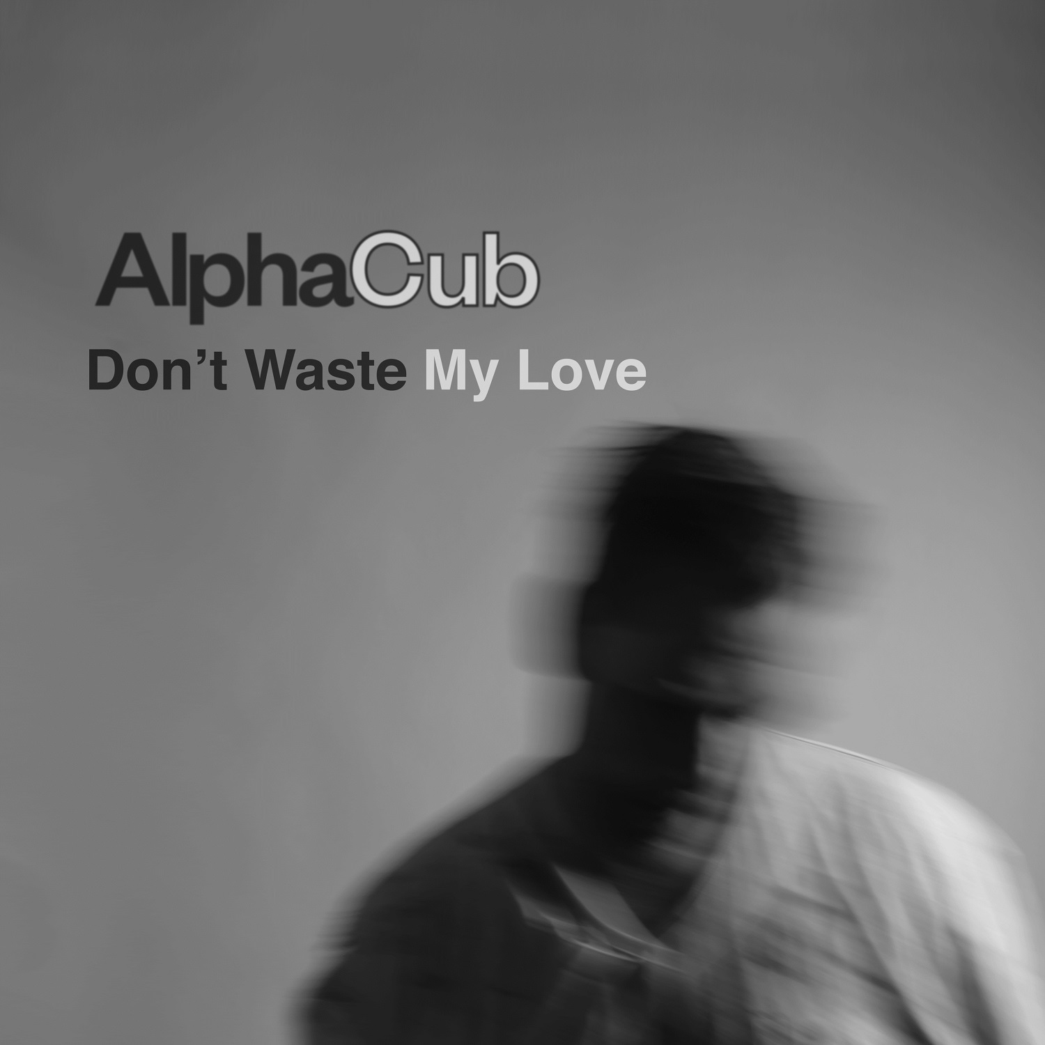 JPEG AlphaCub_Don't Waste My Love.jpg