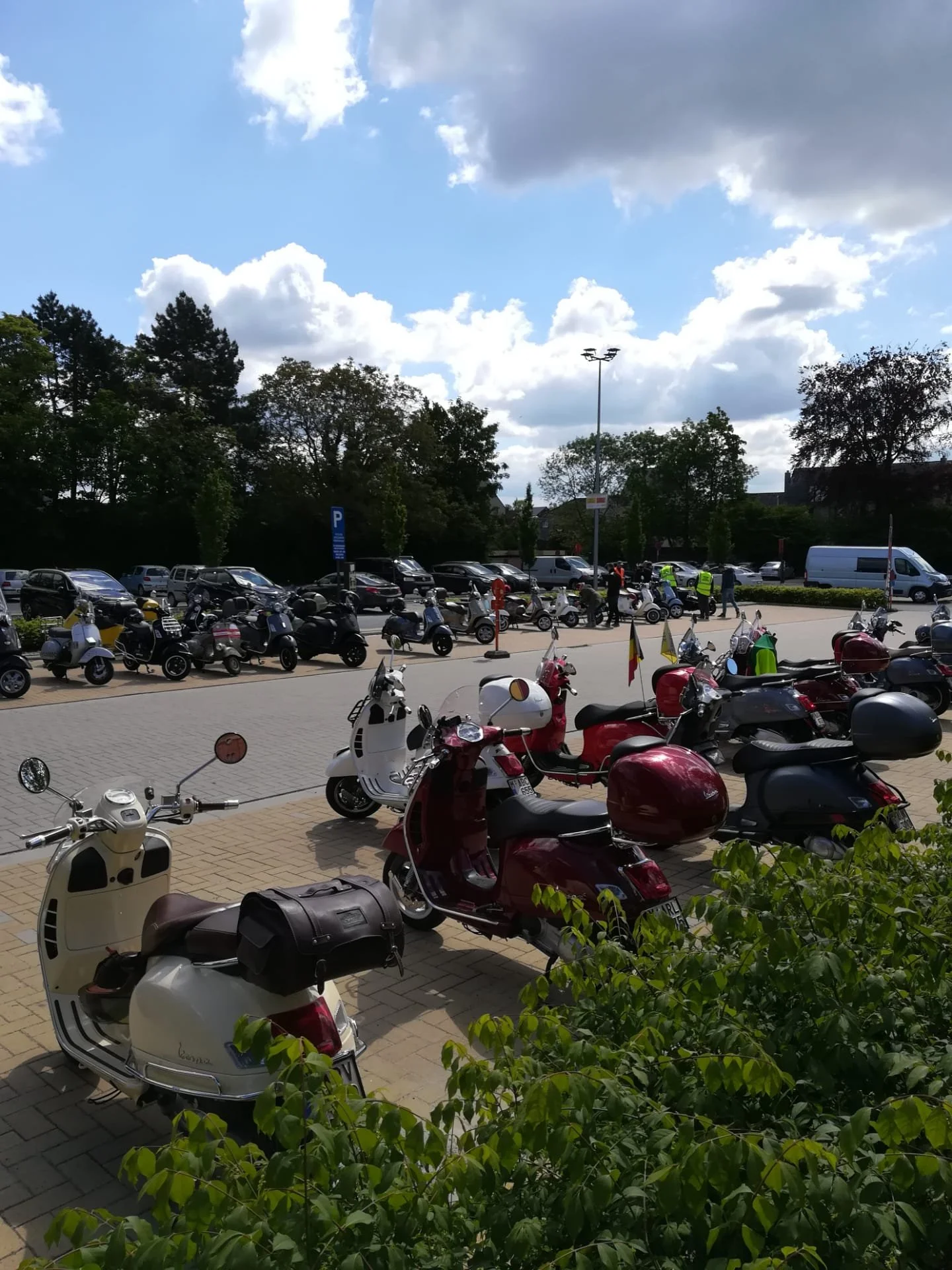 VCT_2019_017