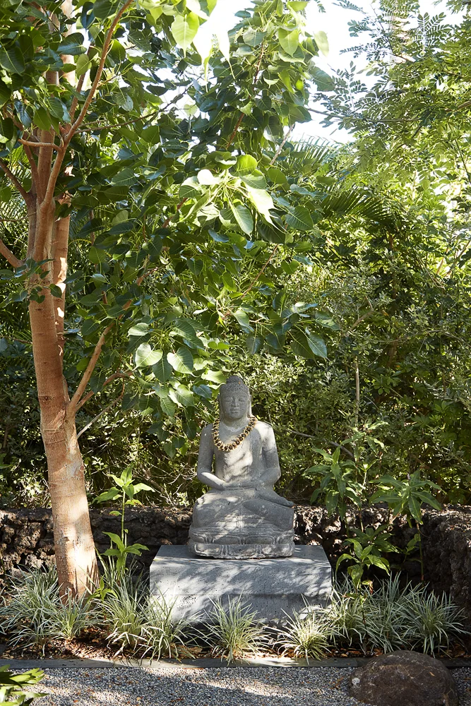 Wiseman-ADHI-D0238.jpg