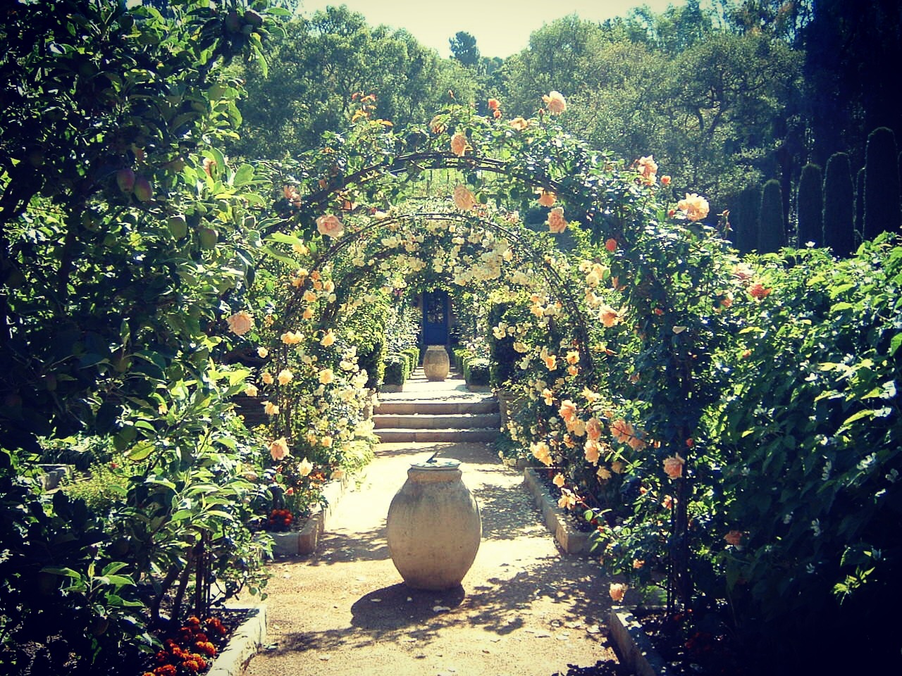 Jones Rose Arbor.JPG