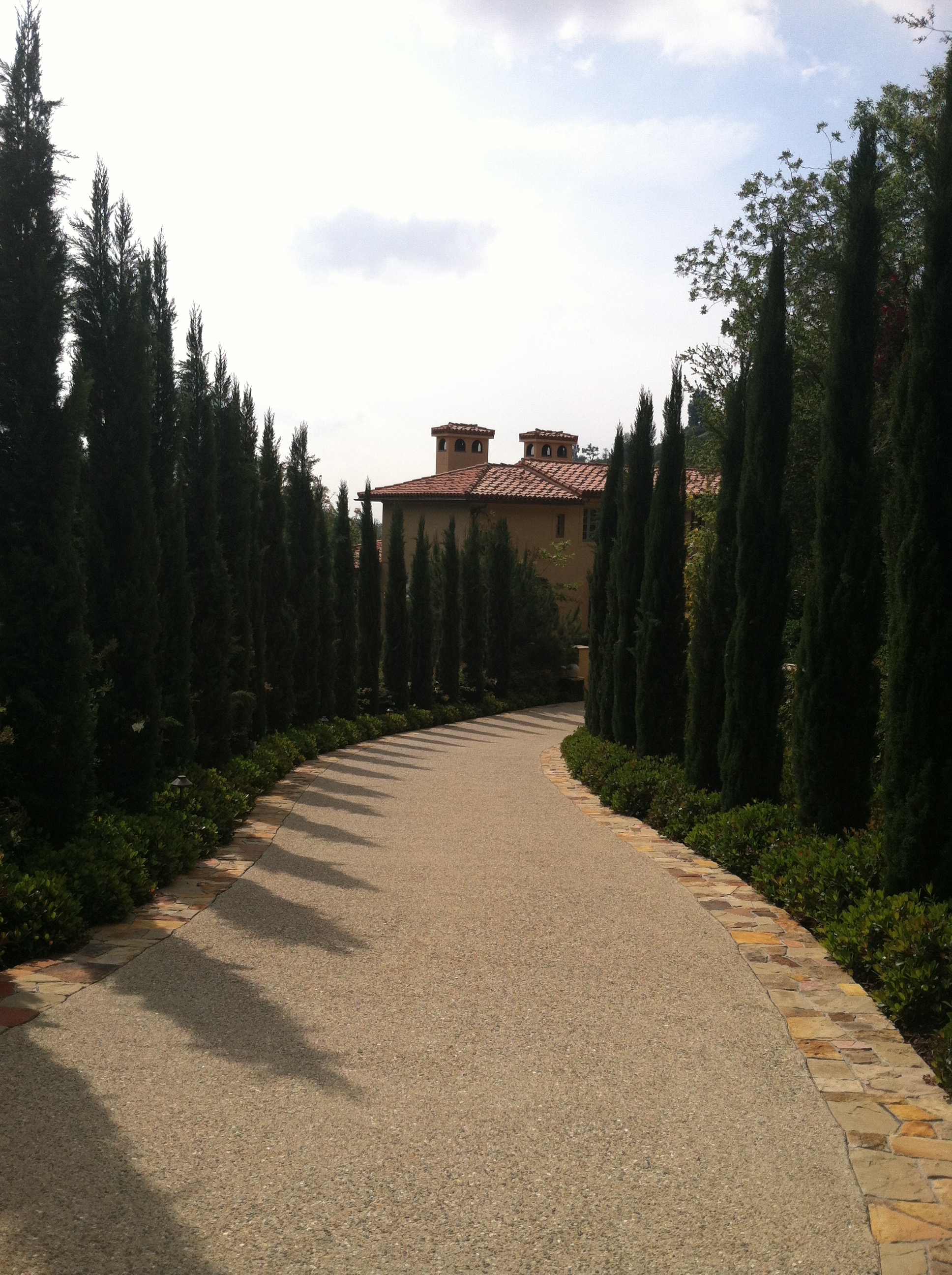 Kutler-Bel Air_6784.jpg