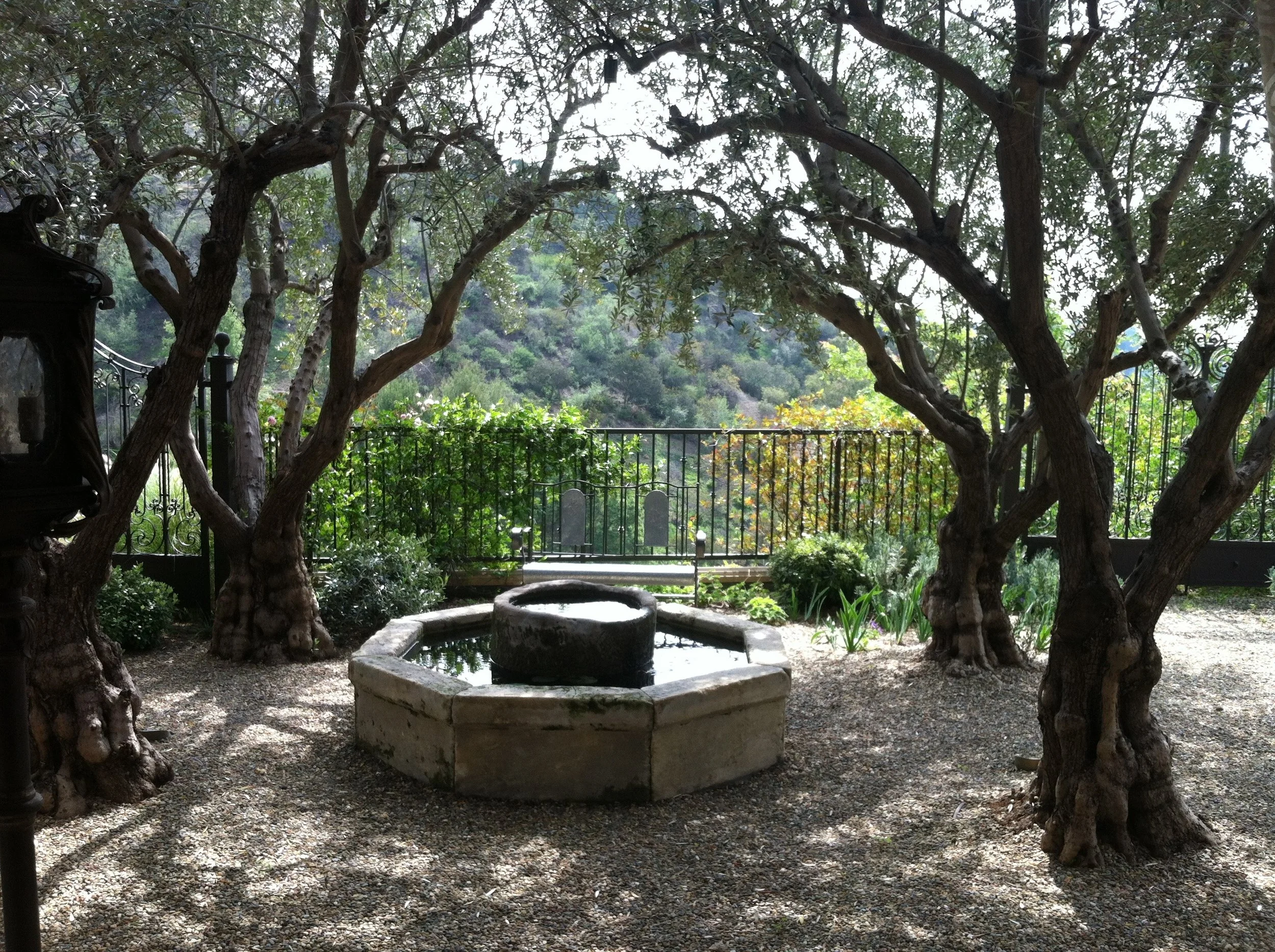 Kutler-Bel Air_6815.jpg