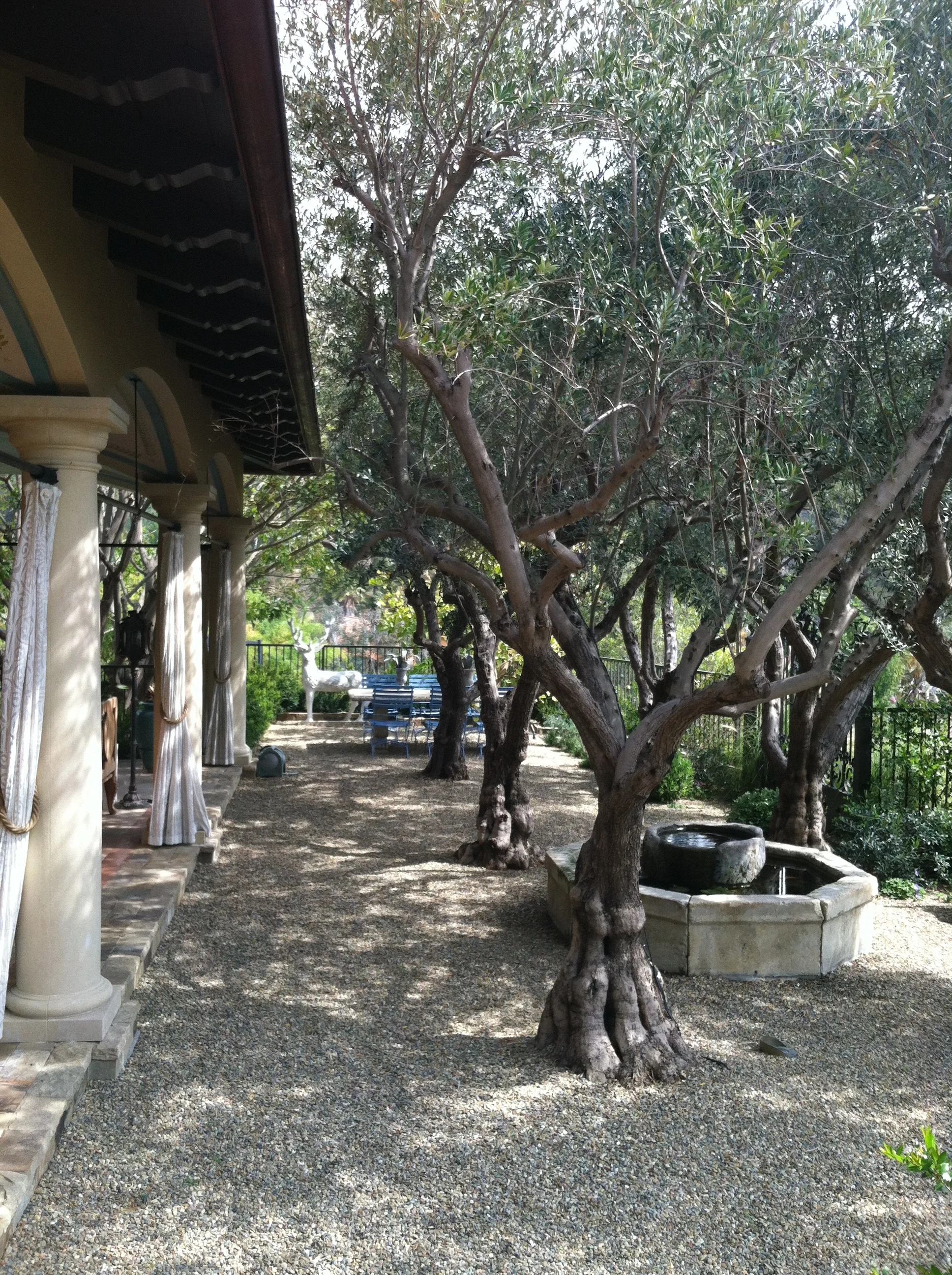 Kutler-Bel Air_6821.jpg