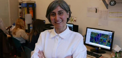 Dr. Hayriye Esbah-Tuncay is a Professor of Landscape Architecture at Istanbul Technical University and Fulbright Visiting Scholar at Harvard University Graduate School of Design. She is Founding Director of HET (Habitat-Ecology-Technology), an Istan…