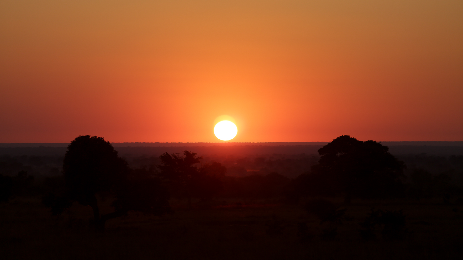 Zambia