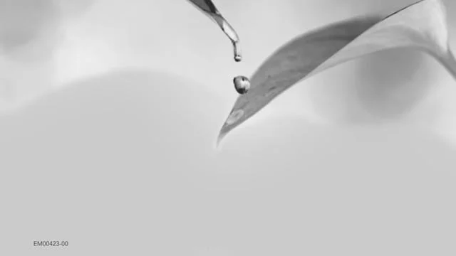 Merz Aesthetics Trade Show