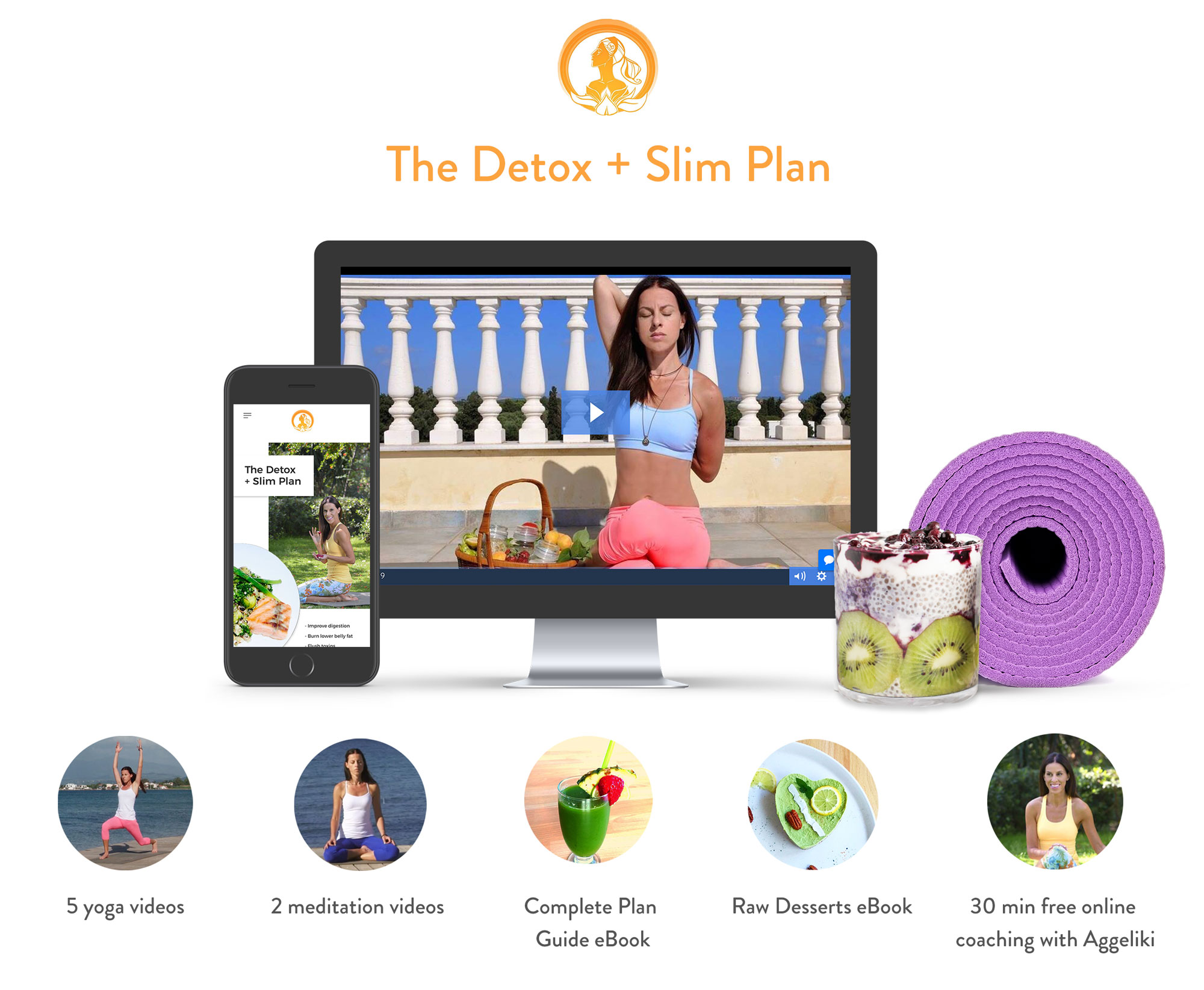 detoxplan-graphic.jpg