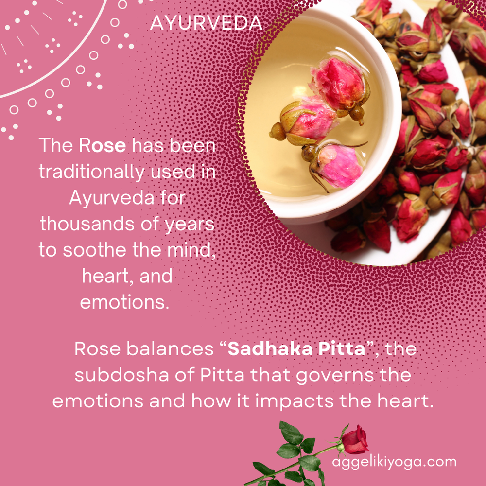 AYURVEDA - 14.png