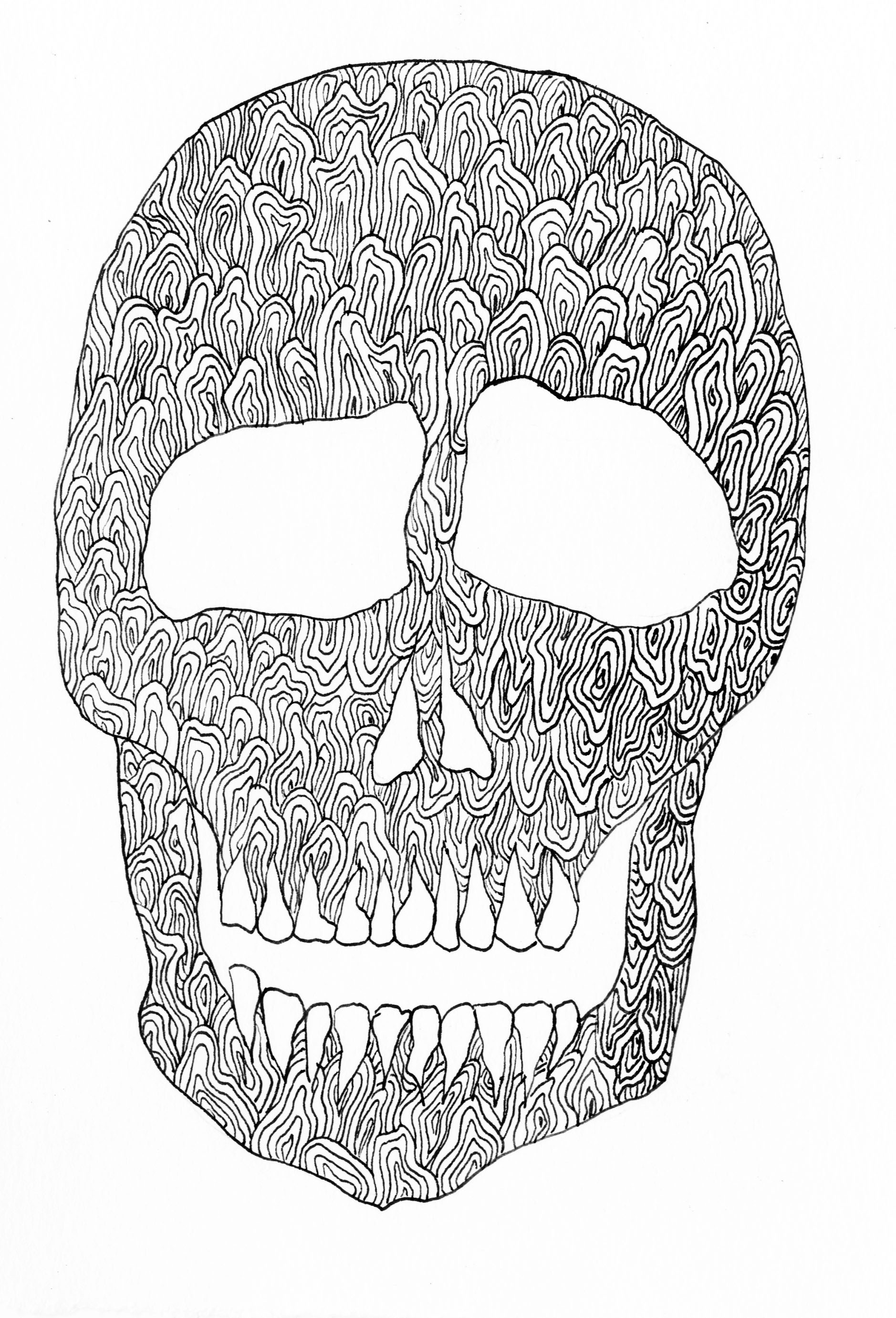Skull