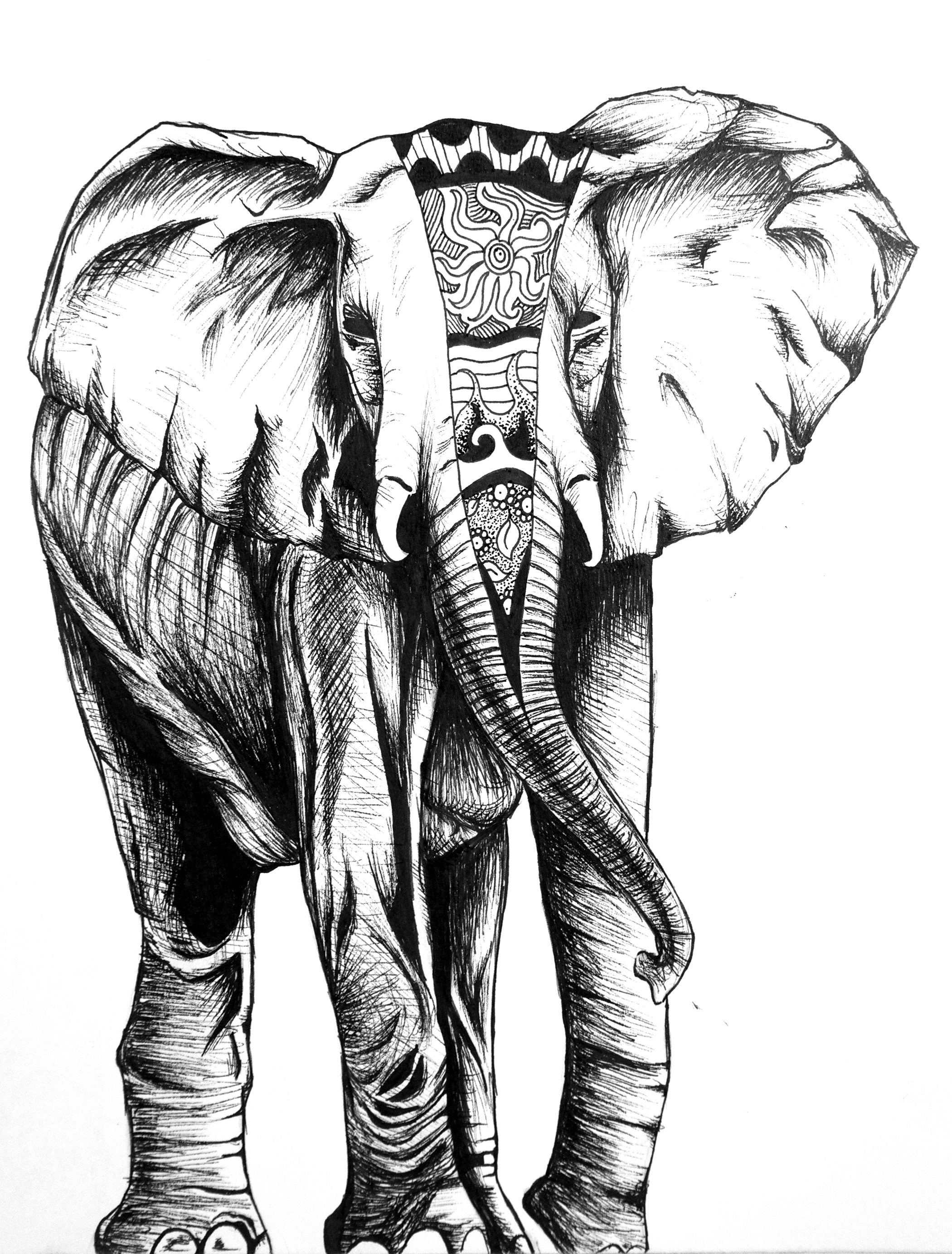 Elephant