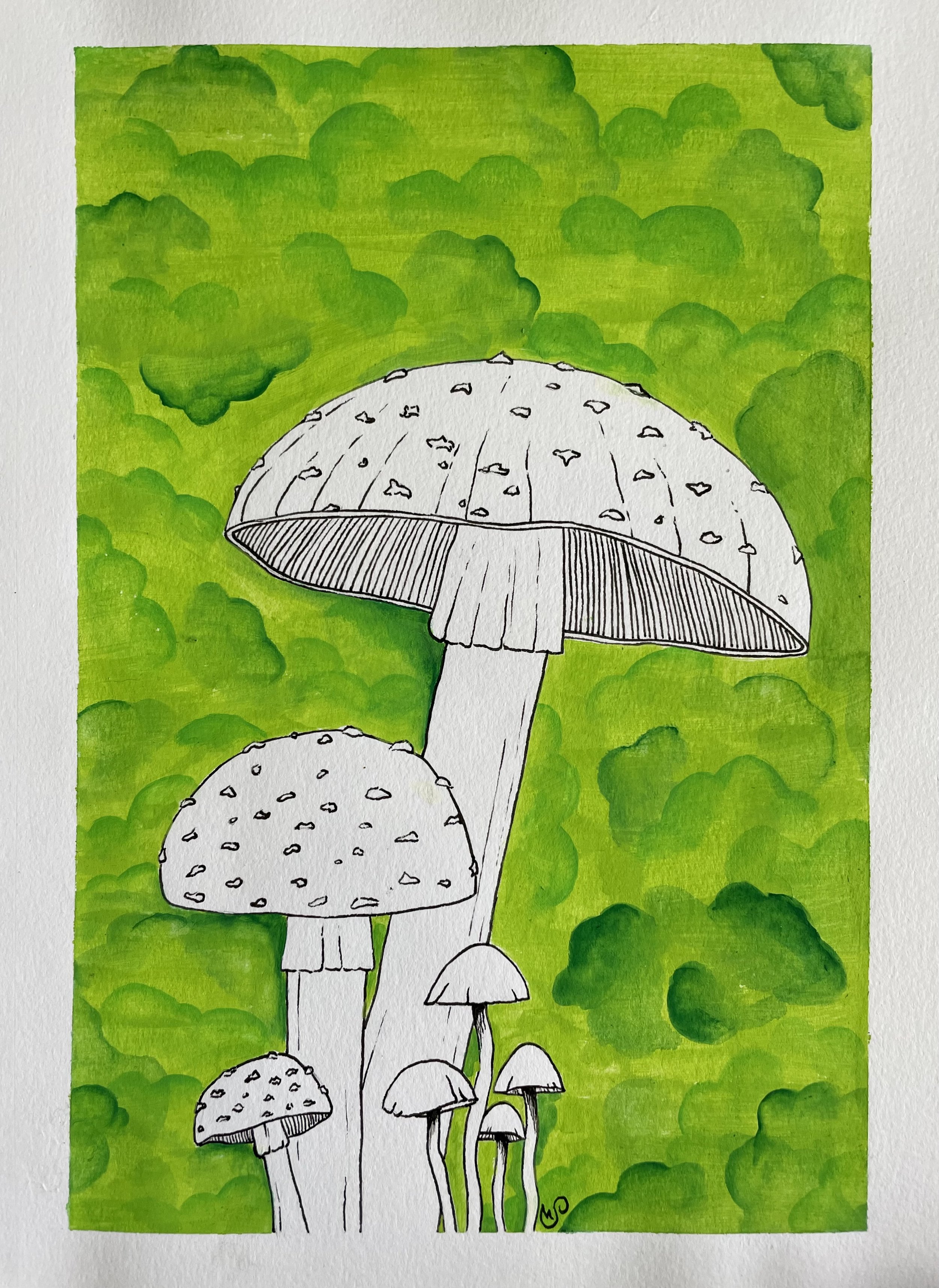 Mushrooms