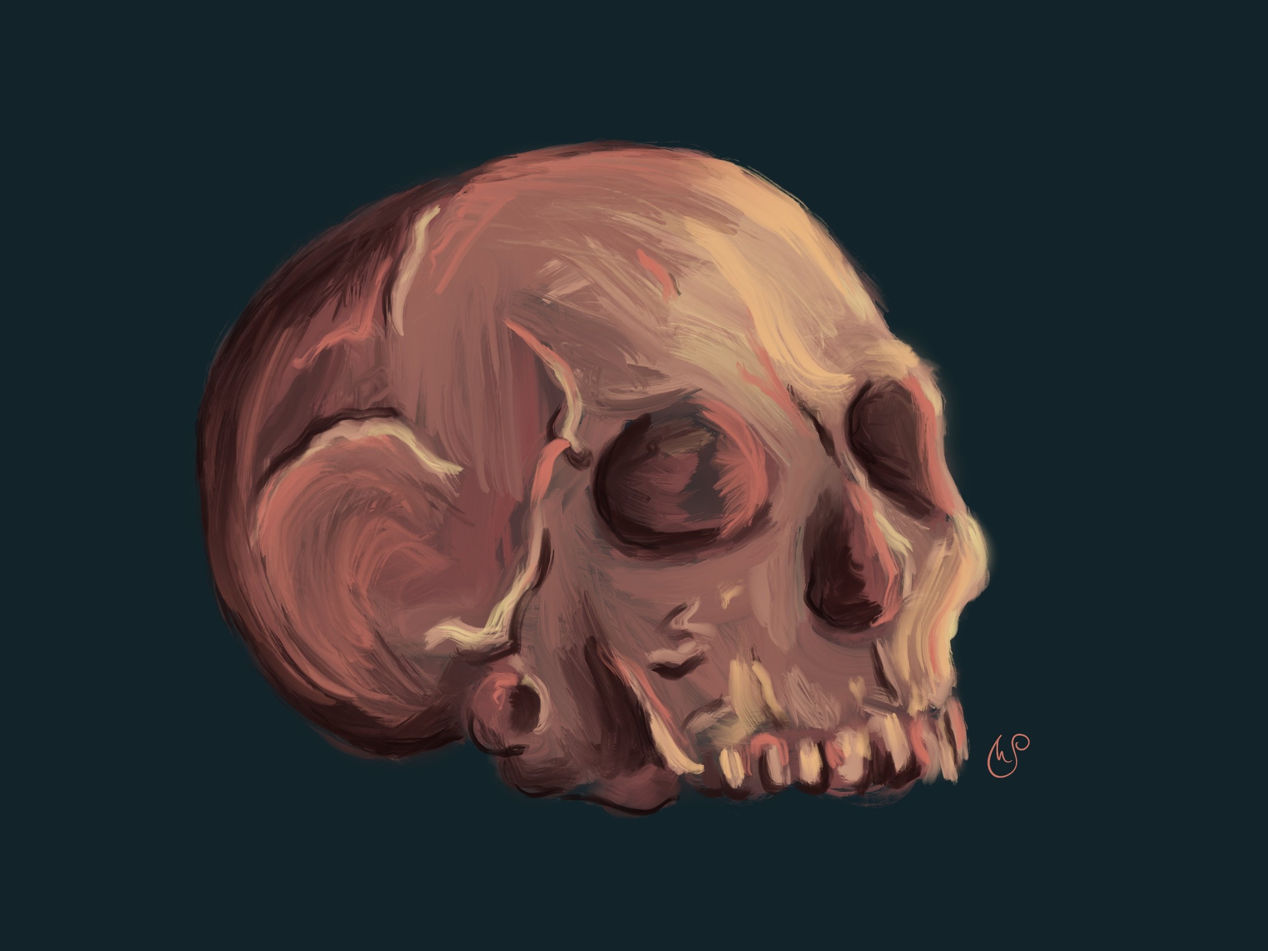Skull