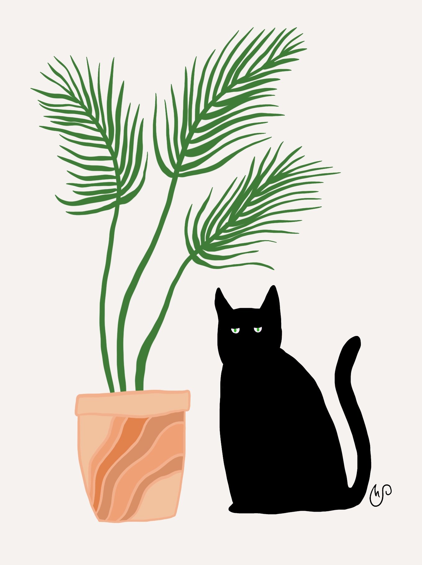 Black Cat #2