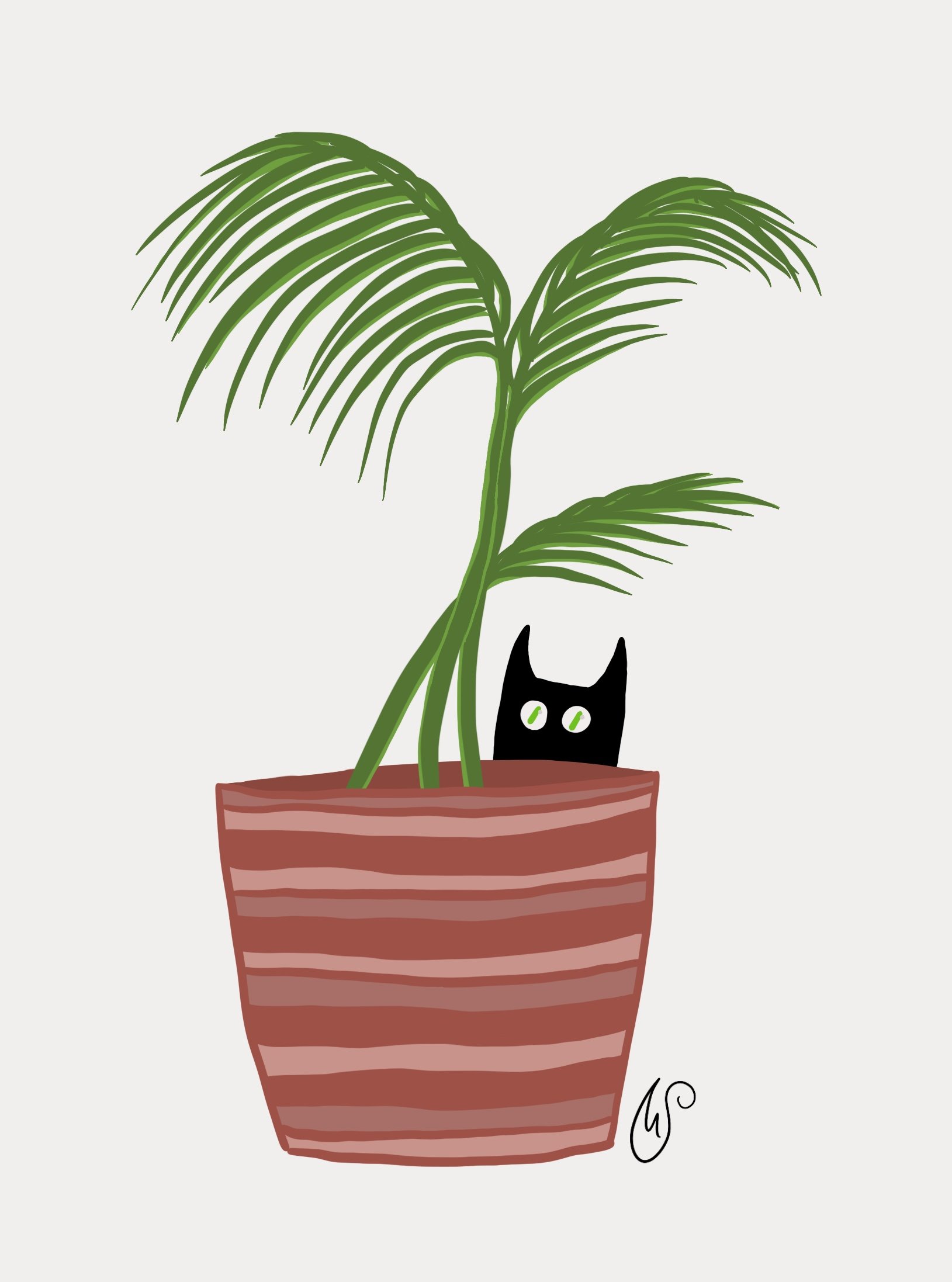 Black Cat #3