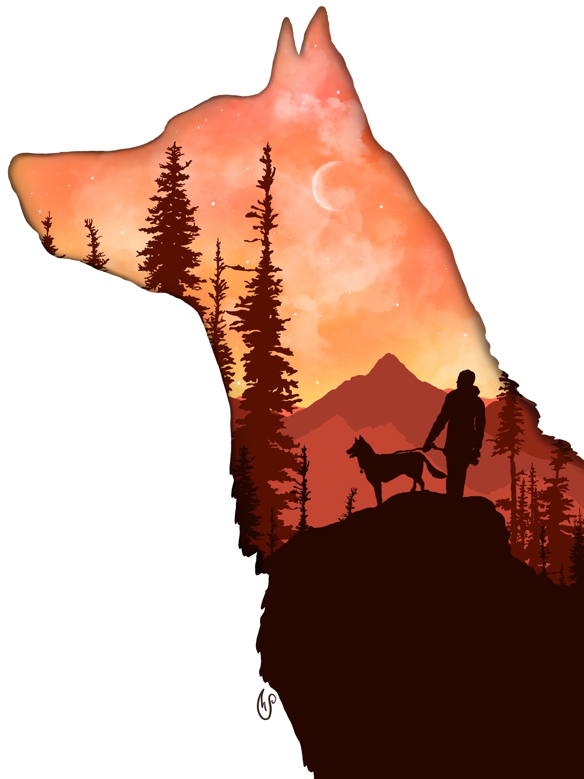 Mans Best Friend