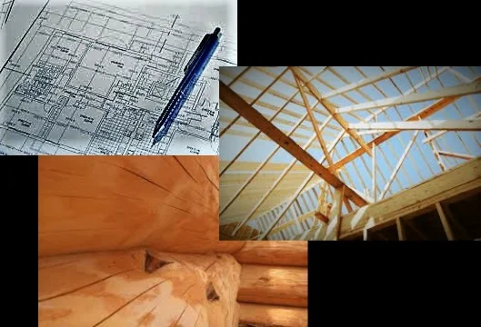 bp collage3.jpg
